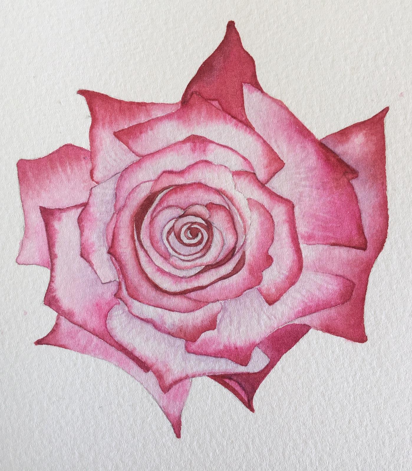 My Paradise Rose Card (A love letter) - image 1 - student project