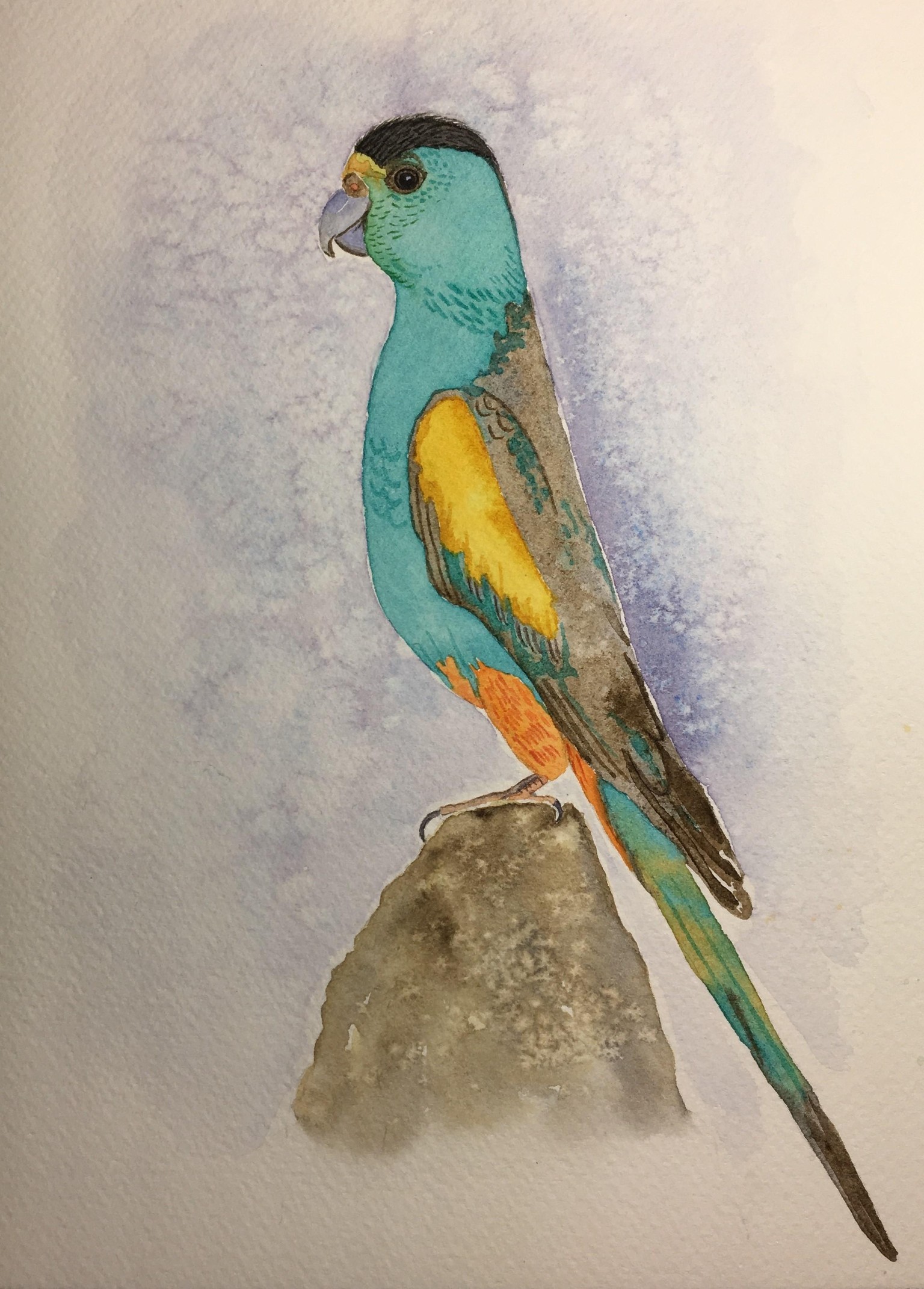 My Watercolor Birds - image 3 - student project