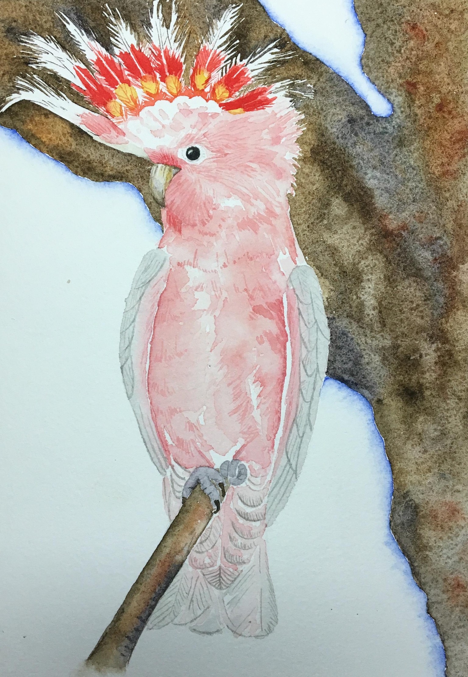 My Watercolor Birds - image 4 - student project