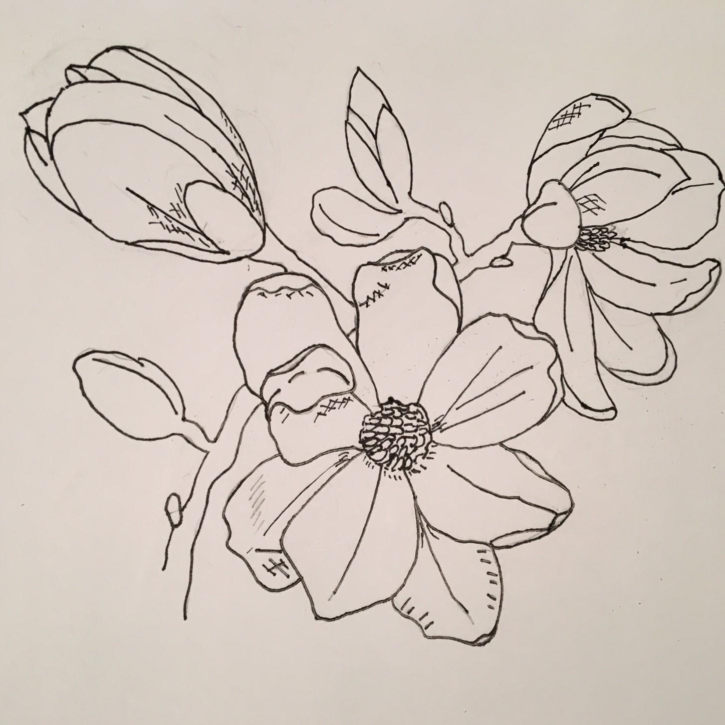 My Magnolia - image 1 - student project