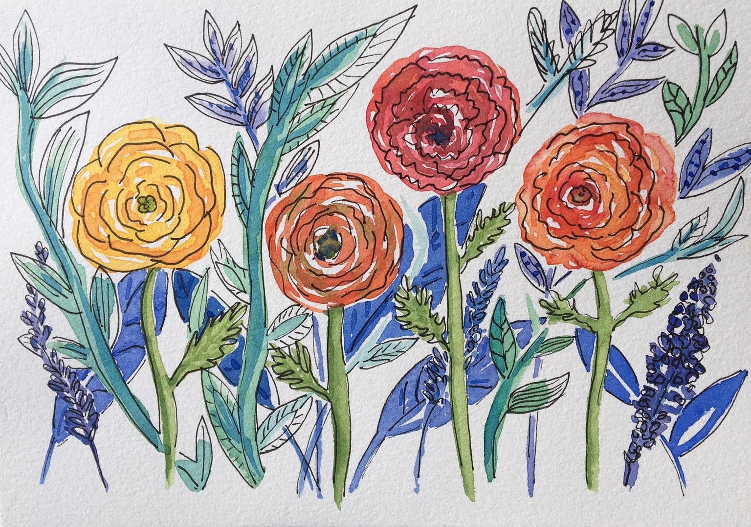 My Ranunculus Garden - image 2 - student project