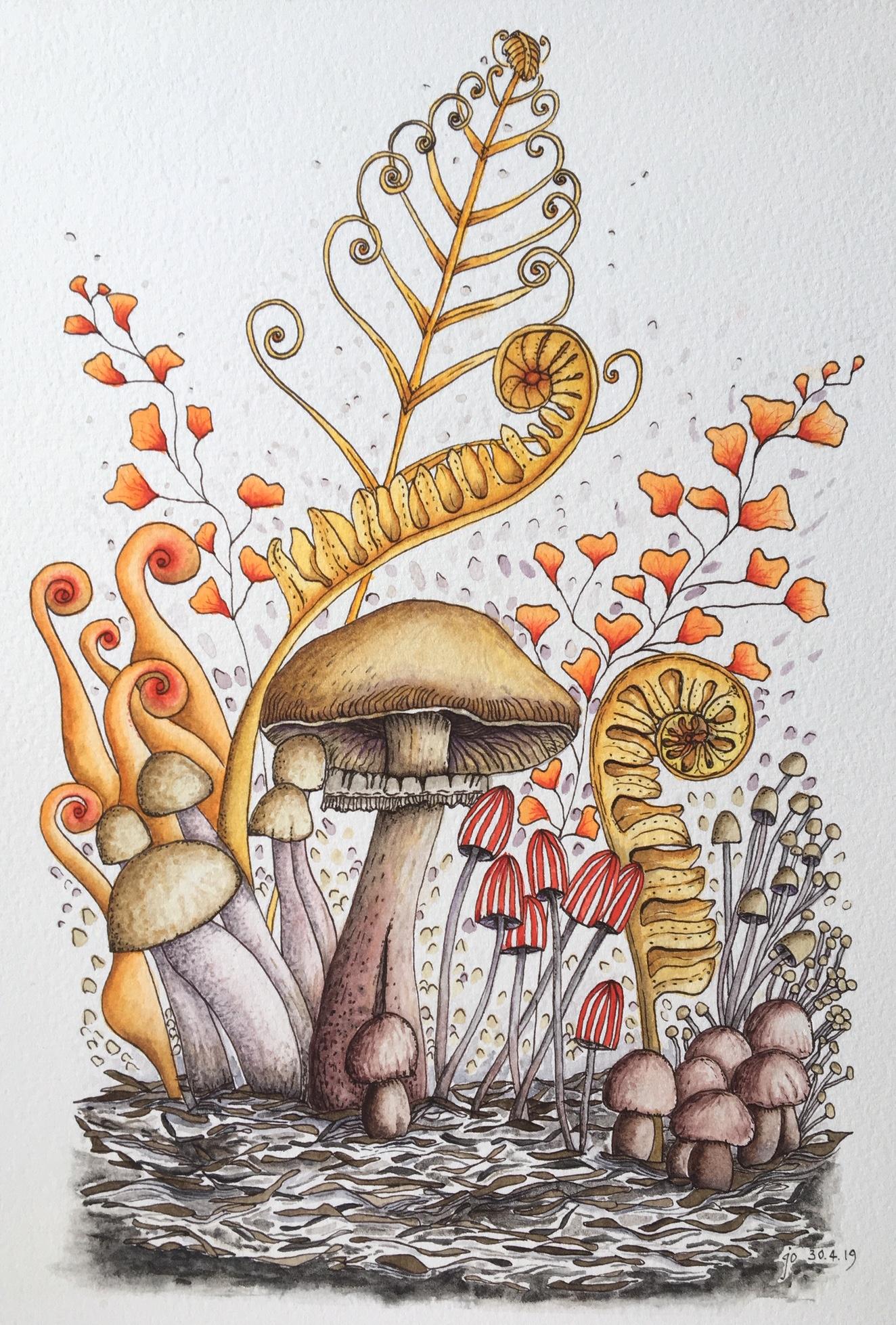 My Mushrooms & Ferns :) - image 1 - student project