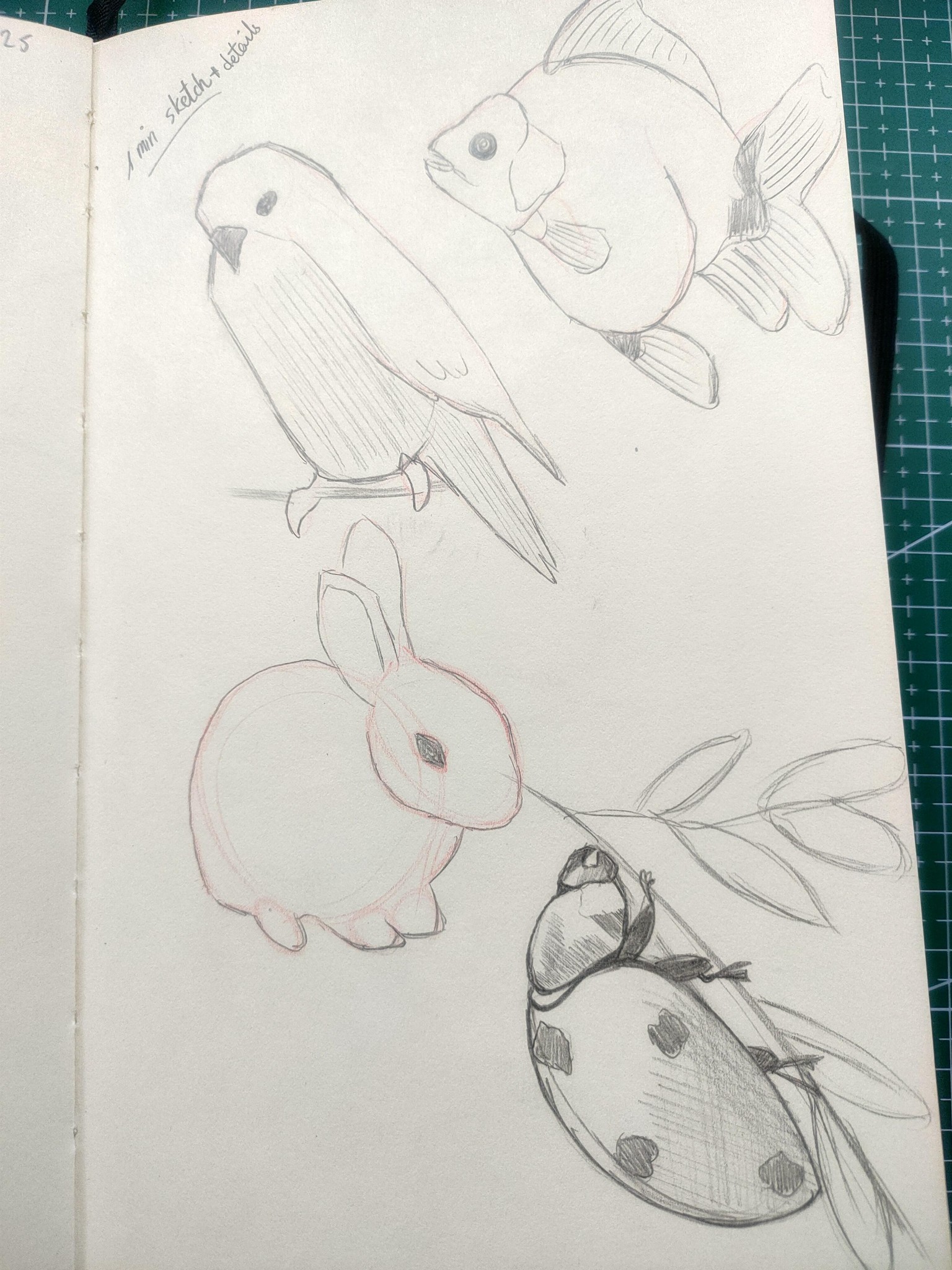 Sketching Animals - image 2 - student project