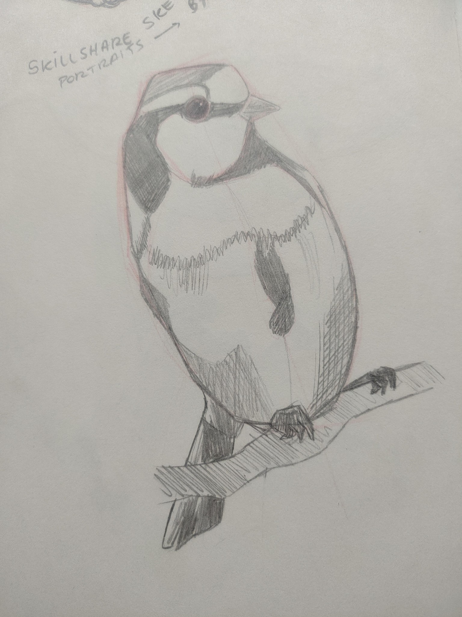 Sketching Animals - image 1 - student project