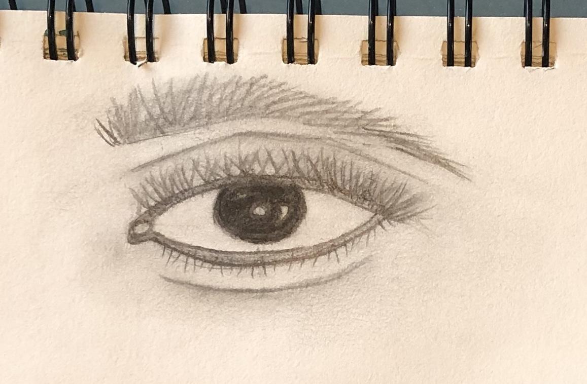 Basics of Art - image 3 - student project