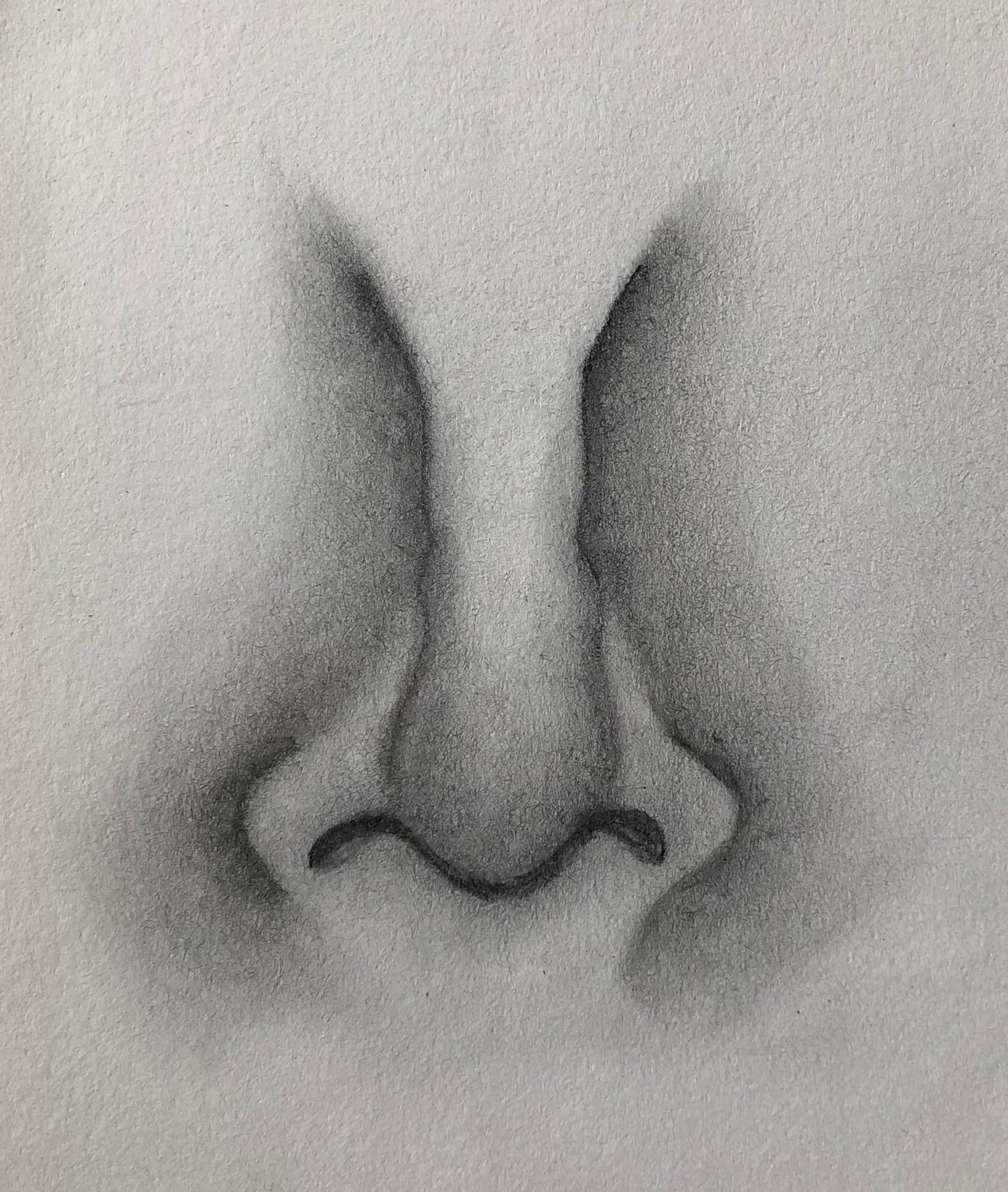 Nose Drawing Techniques - image 3 - student project