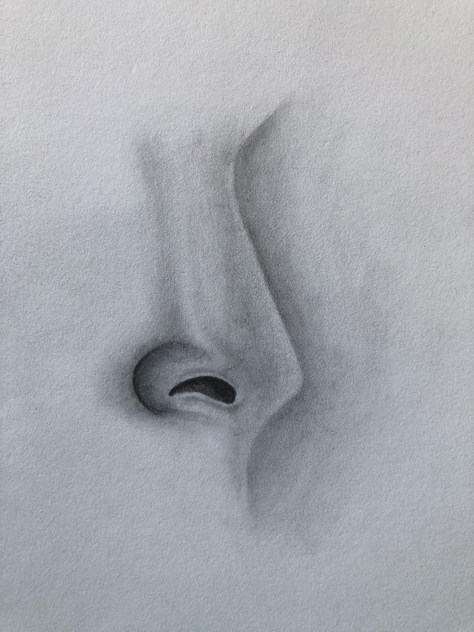 Nose Drawing Techniques - image 4 - student project