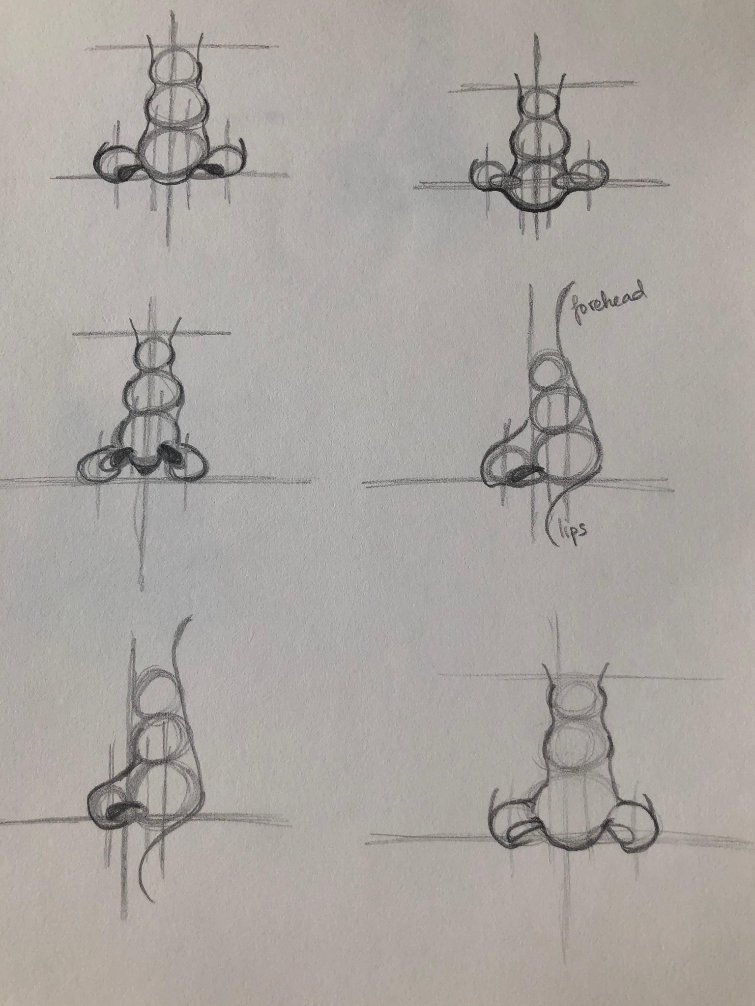 Nose Drawing Techniques - image 1 - student project