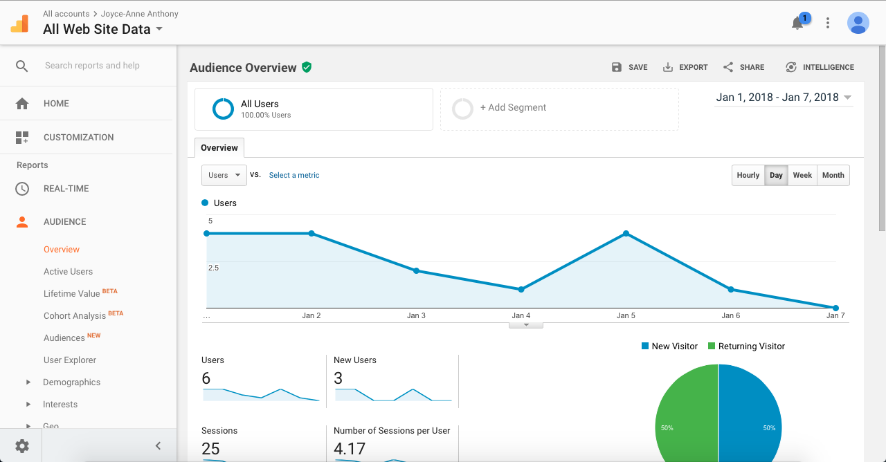 Analytics for Beginners - image 2 - student project