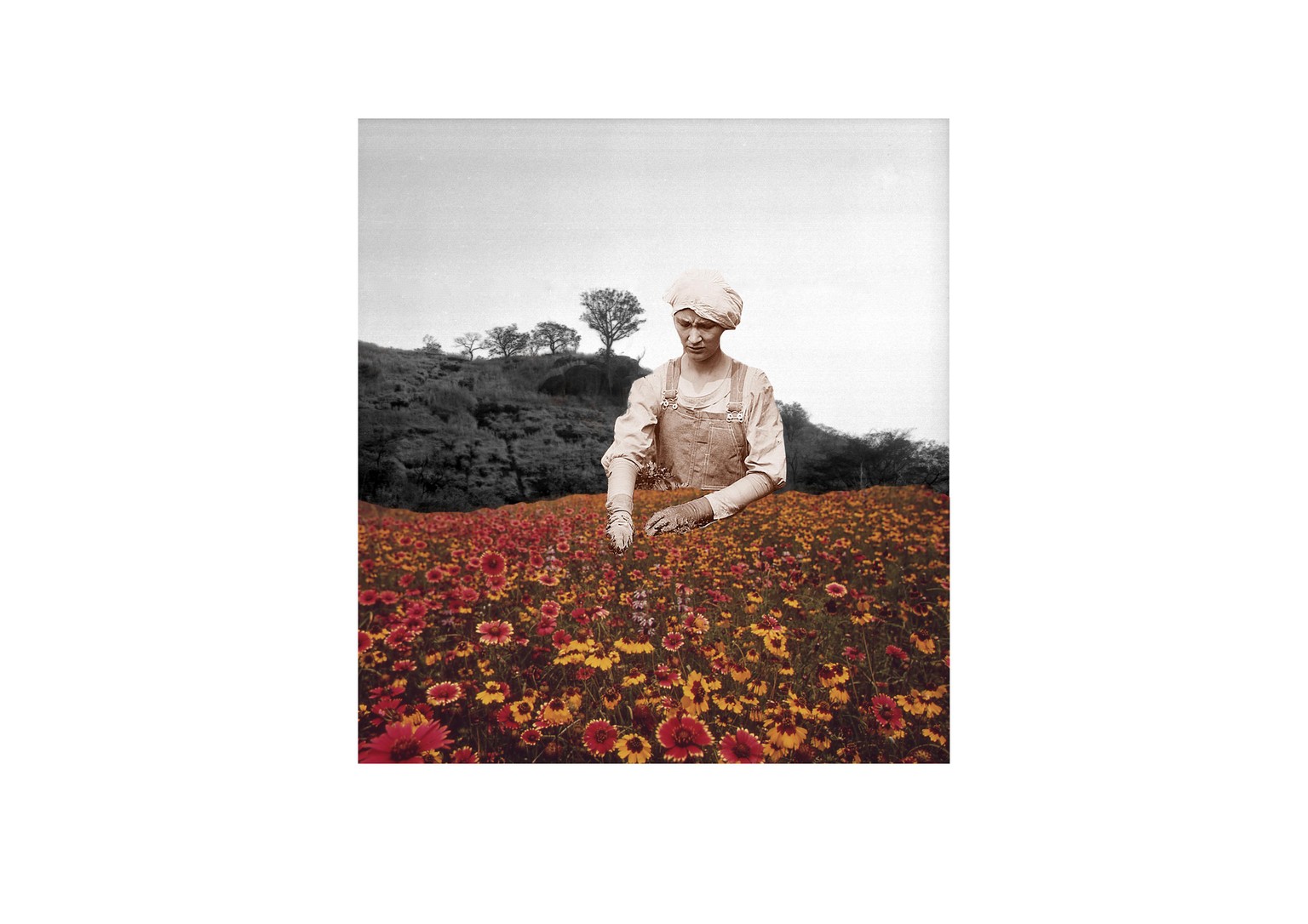Hollie Woodward - image 1 - student project