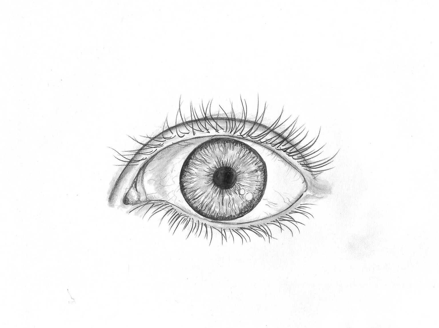 Pencil eye - image 1 - student project