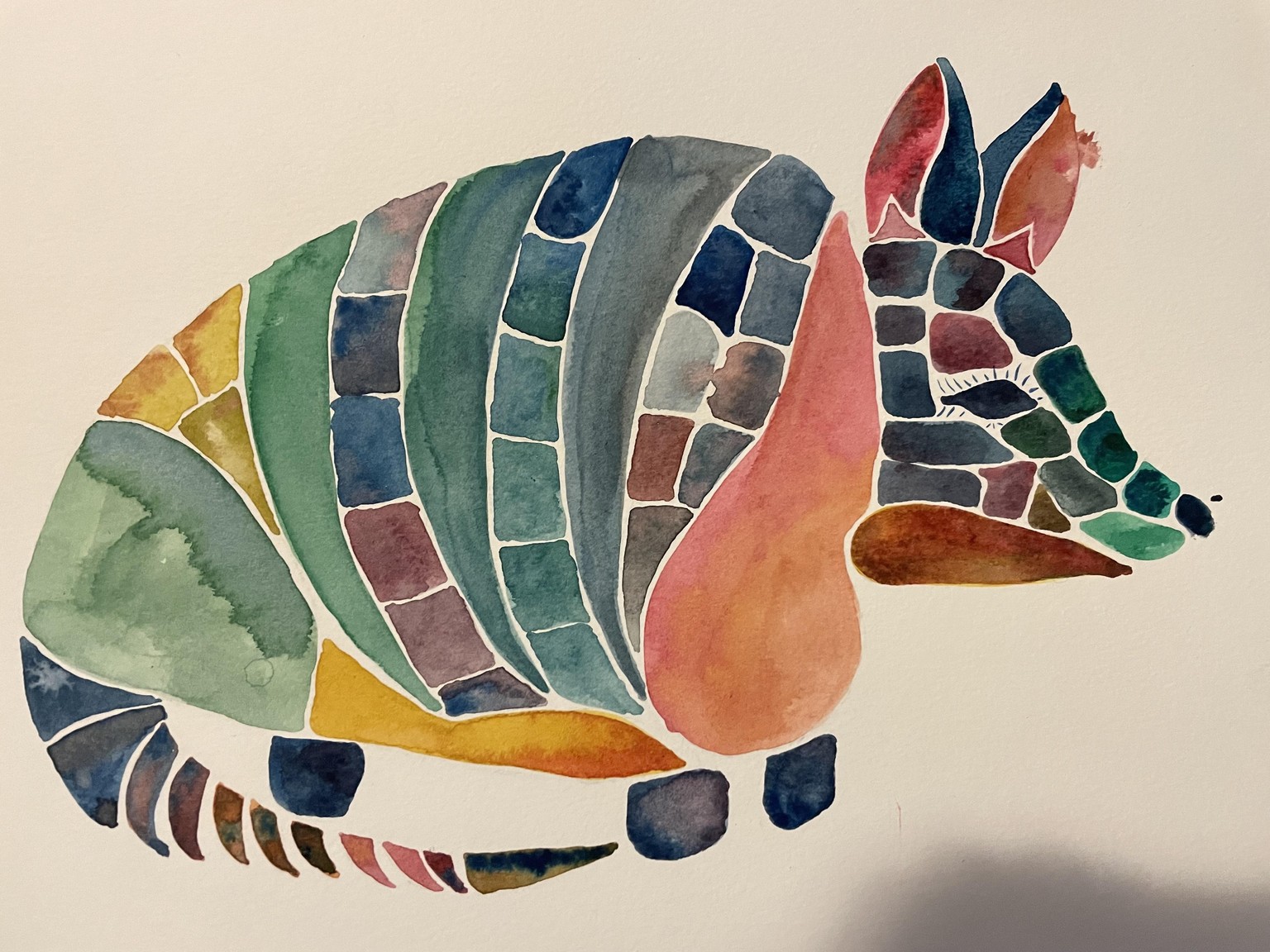 Splashy Armadillo - image 2 - student project