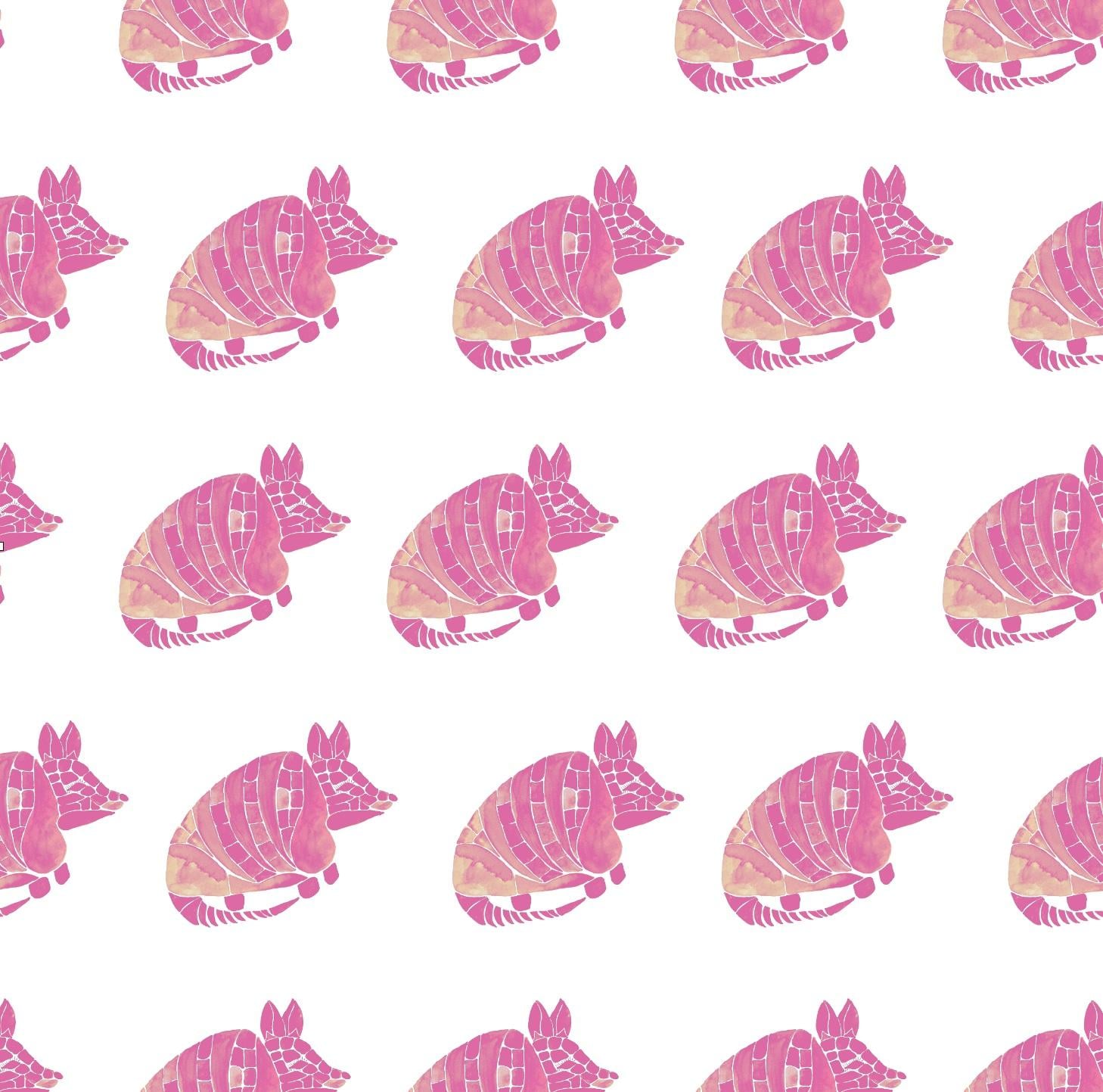 Splashy Armadillo - image 1 - student project