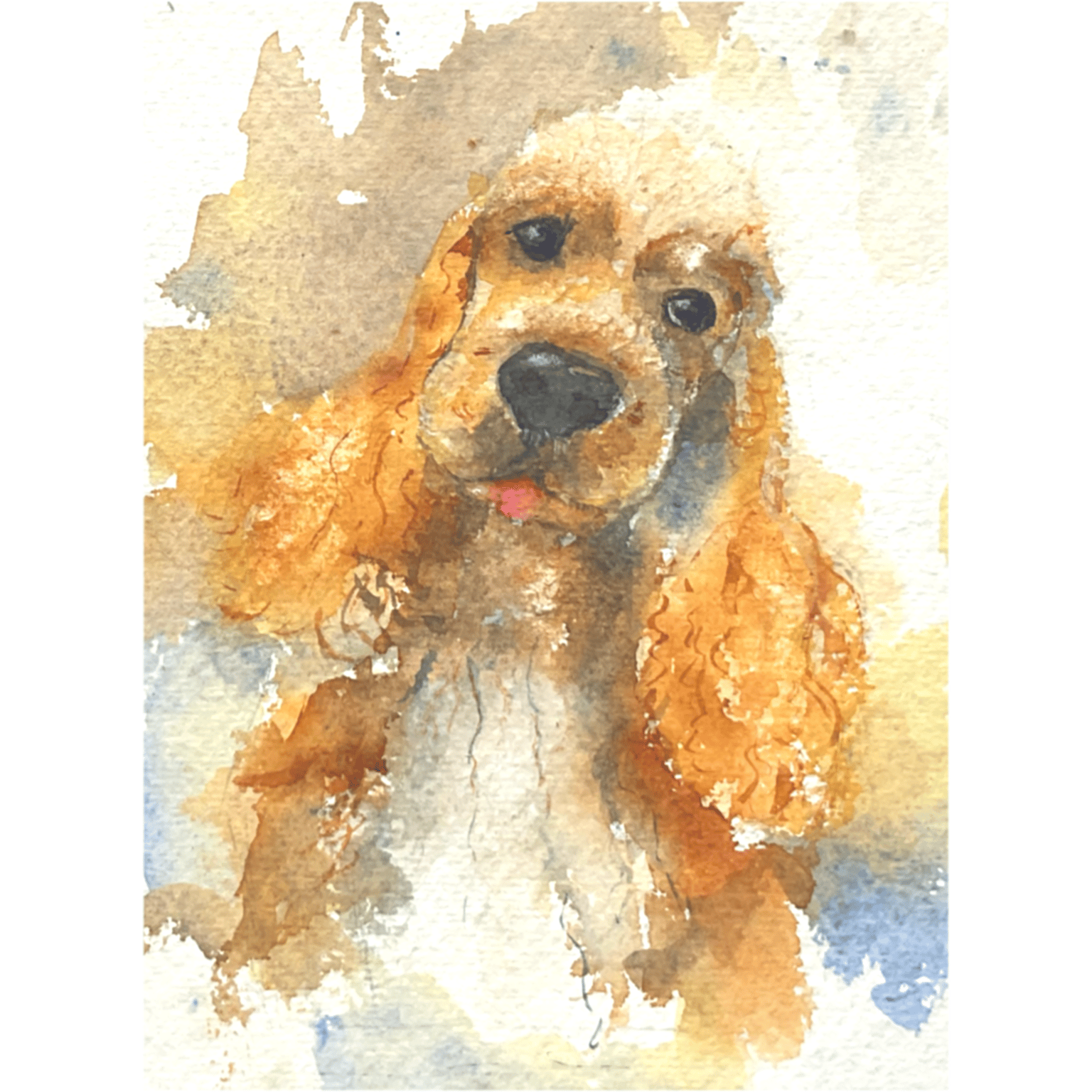 Pet portrait - image 1 - student project