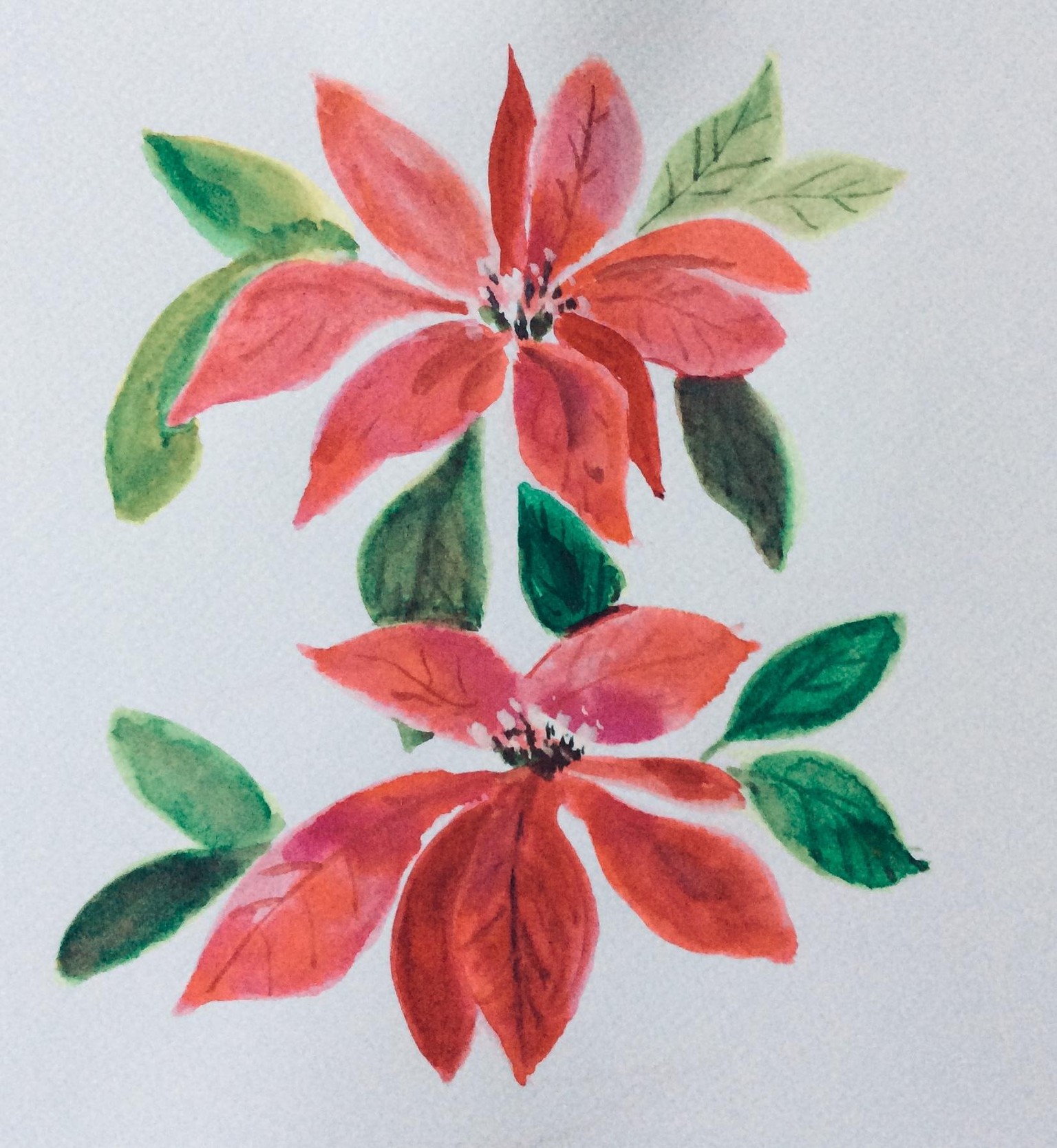 Holiday floral - image 2 - student project