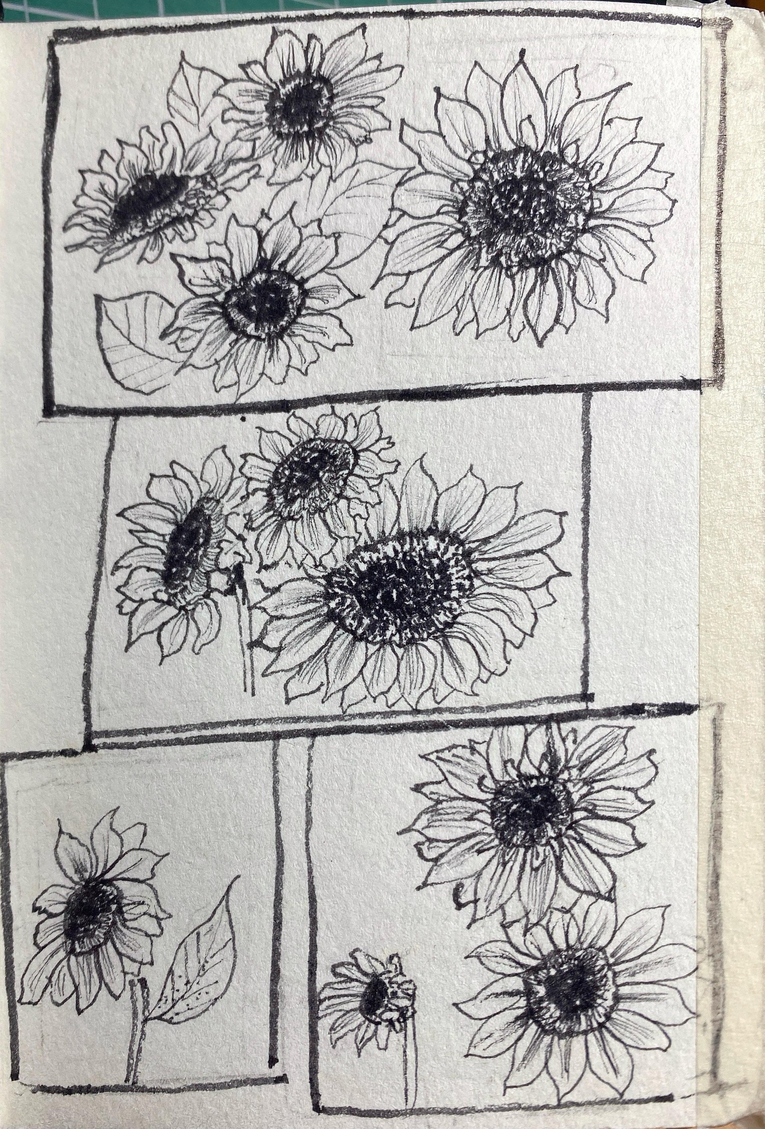 Sunflowers with dip pen - image 2 - student project