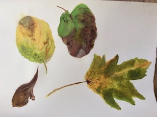 Nature Walk - image 4 - student project