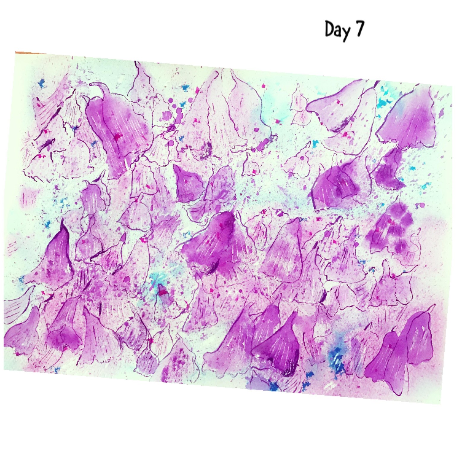 Seven days - image 4 - student project