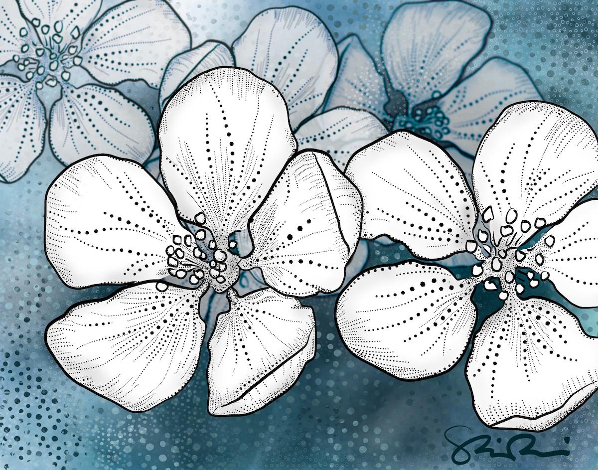 Fun Project! Blossoms by sosuzi_studio - image 1 - student project