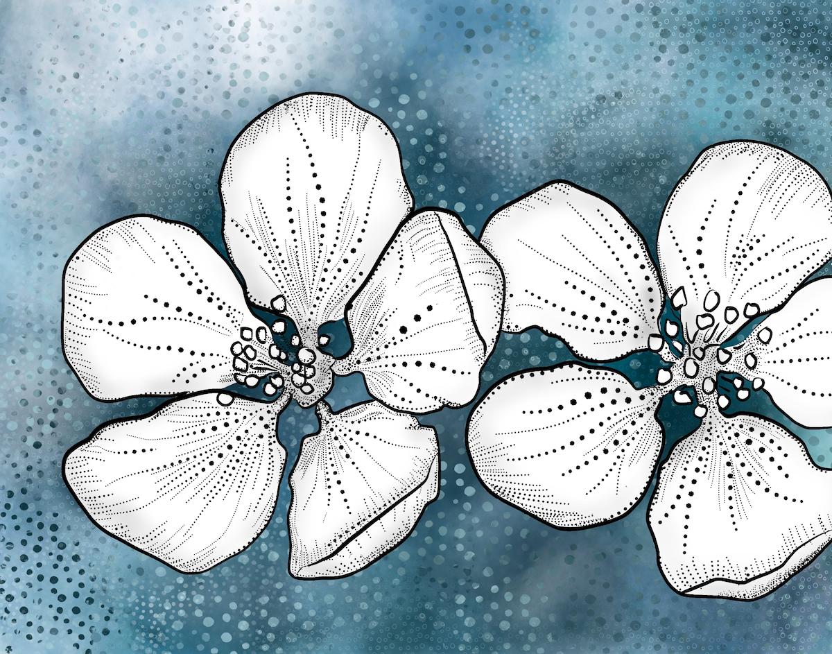 Fun Project! Blossoms by sosuzi_studio - image 2 - student project