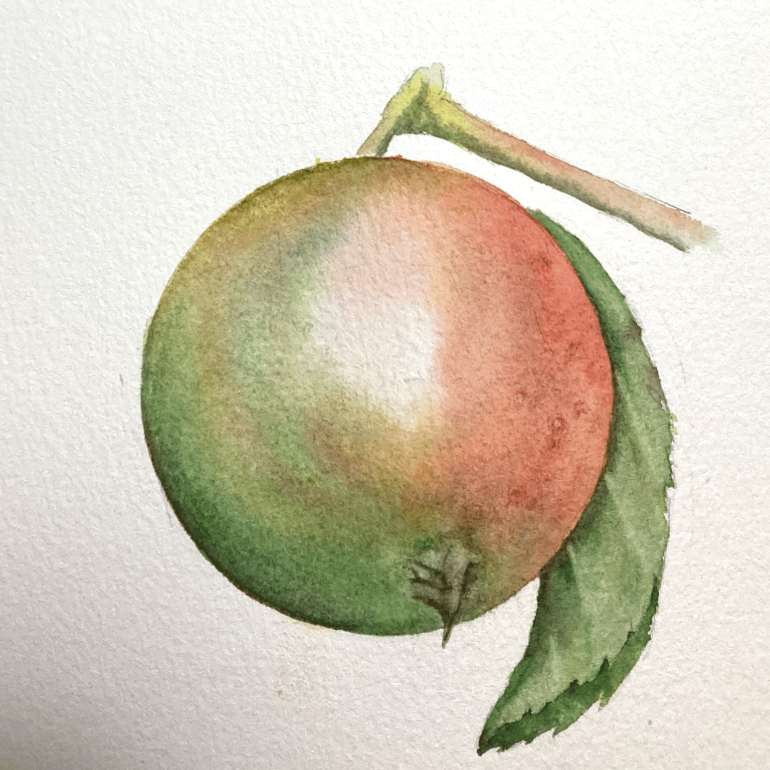 Maria’s Apples - completed - image 1 - student project