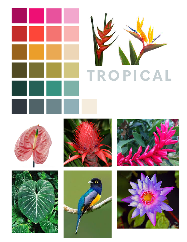 Tropical paradise - image 2 - student project