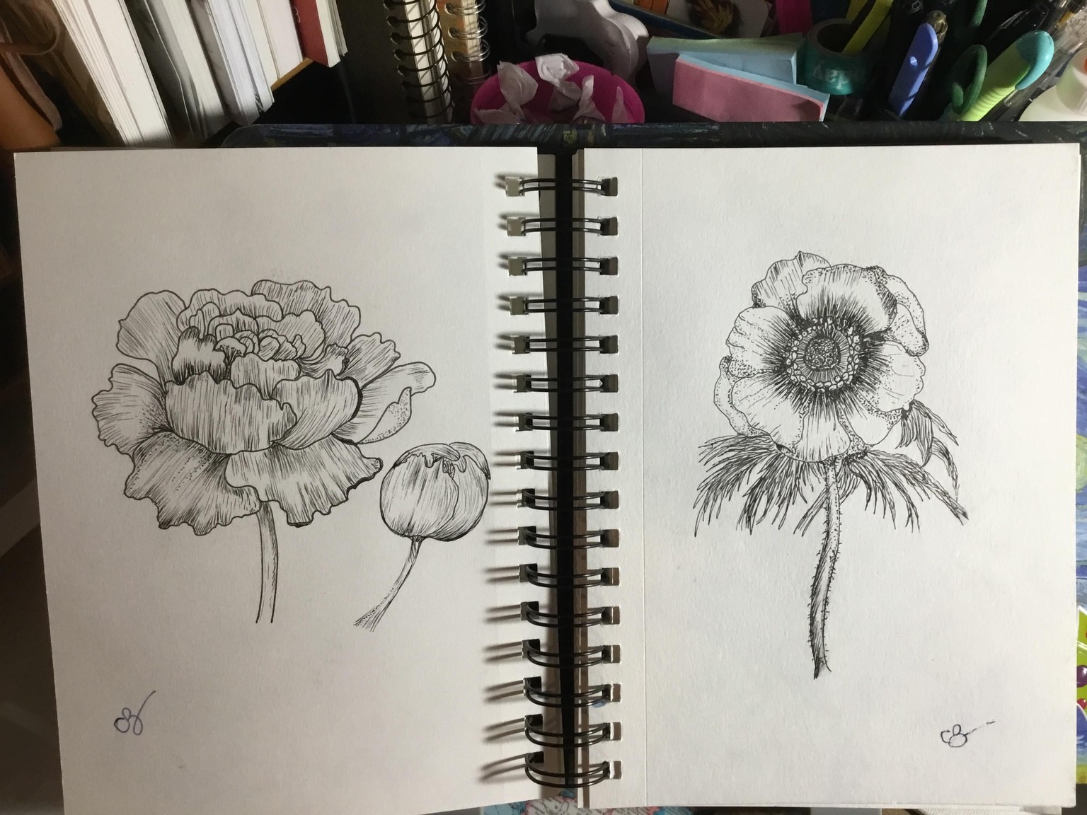 These are from yr lesson - image 1 - student project