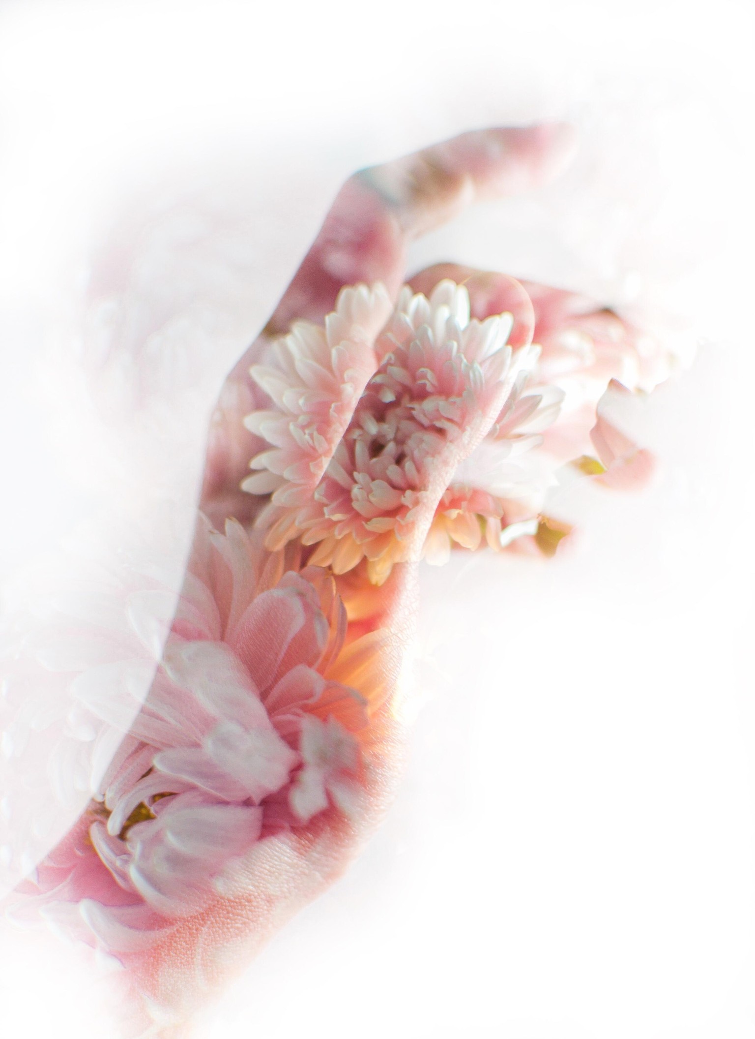 Double Exposure - image 1 - student project