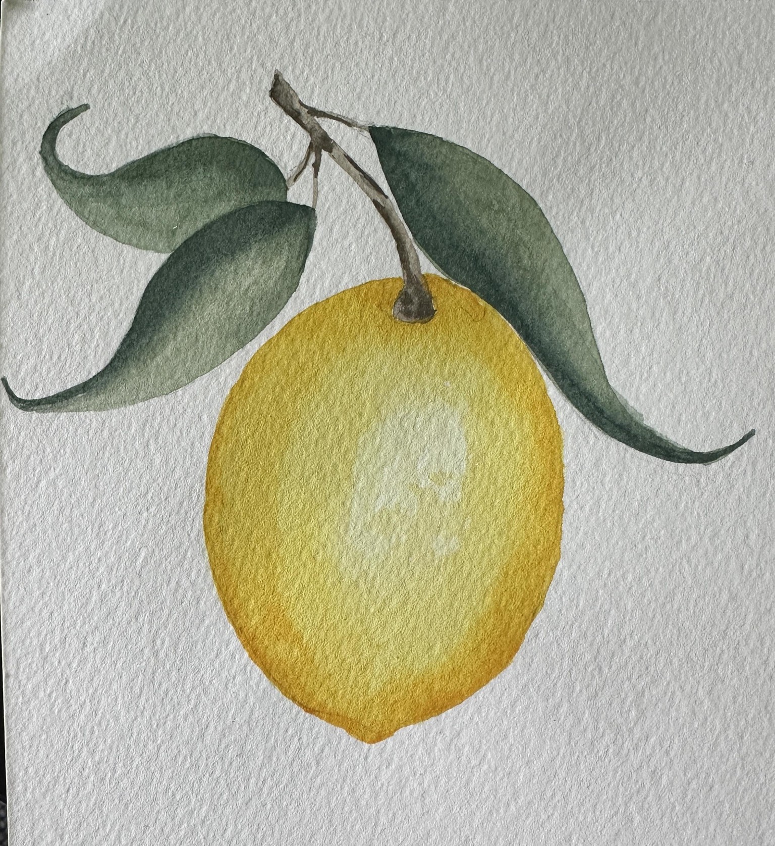 Watercolor techniques - image 2 - student project