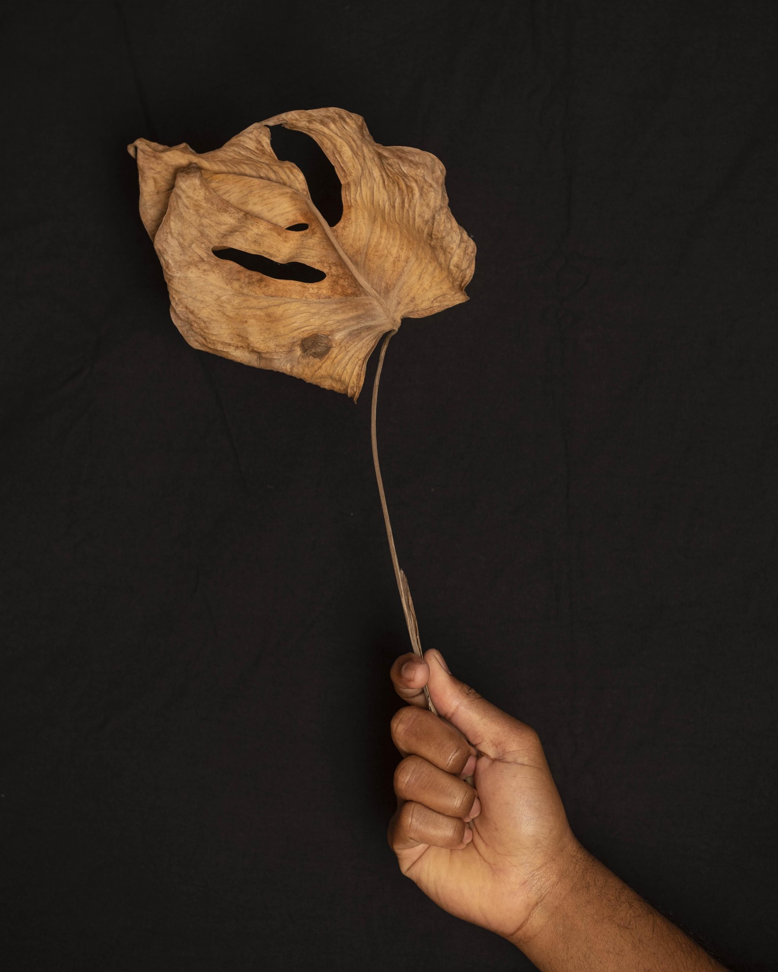 Still life - image 1 - student project