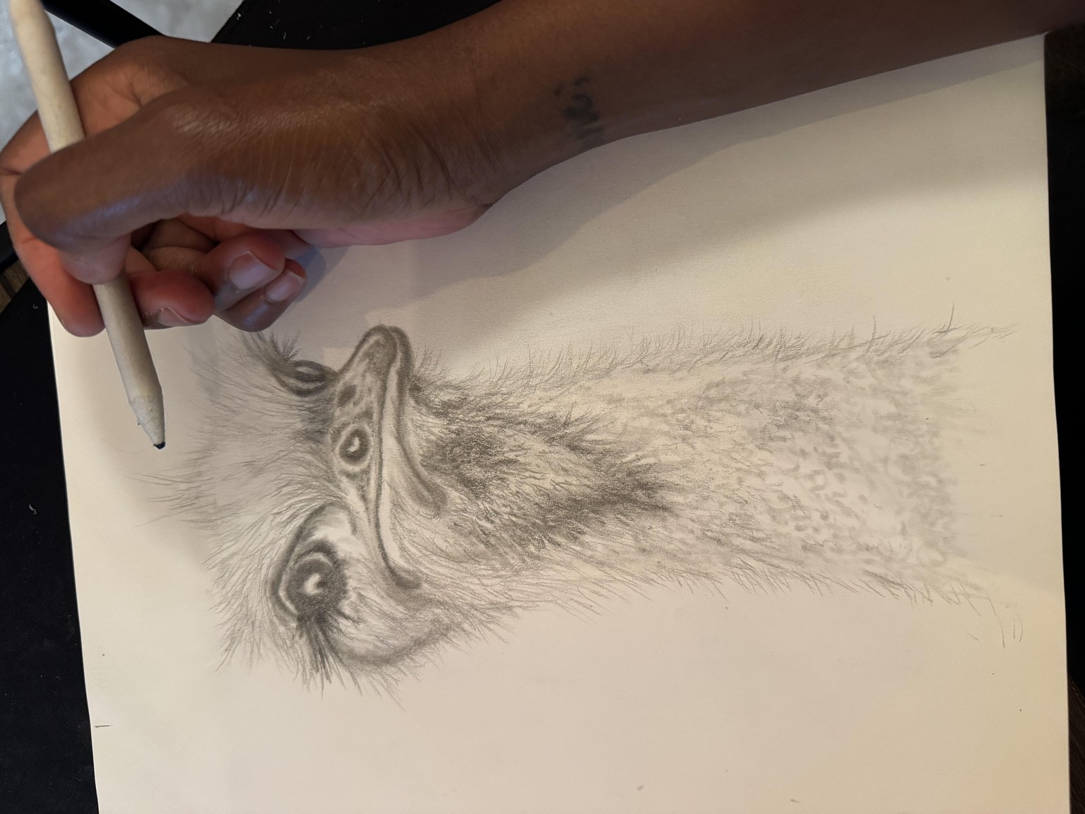 Tru's Ostrich - image 1 - student project
