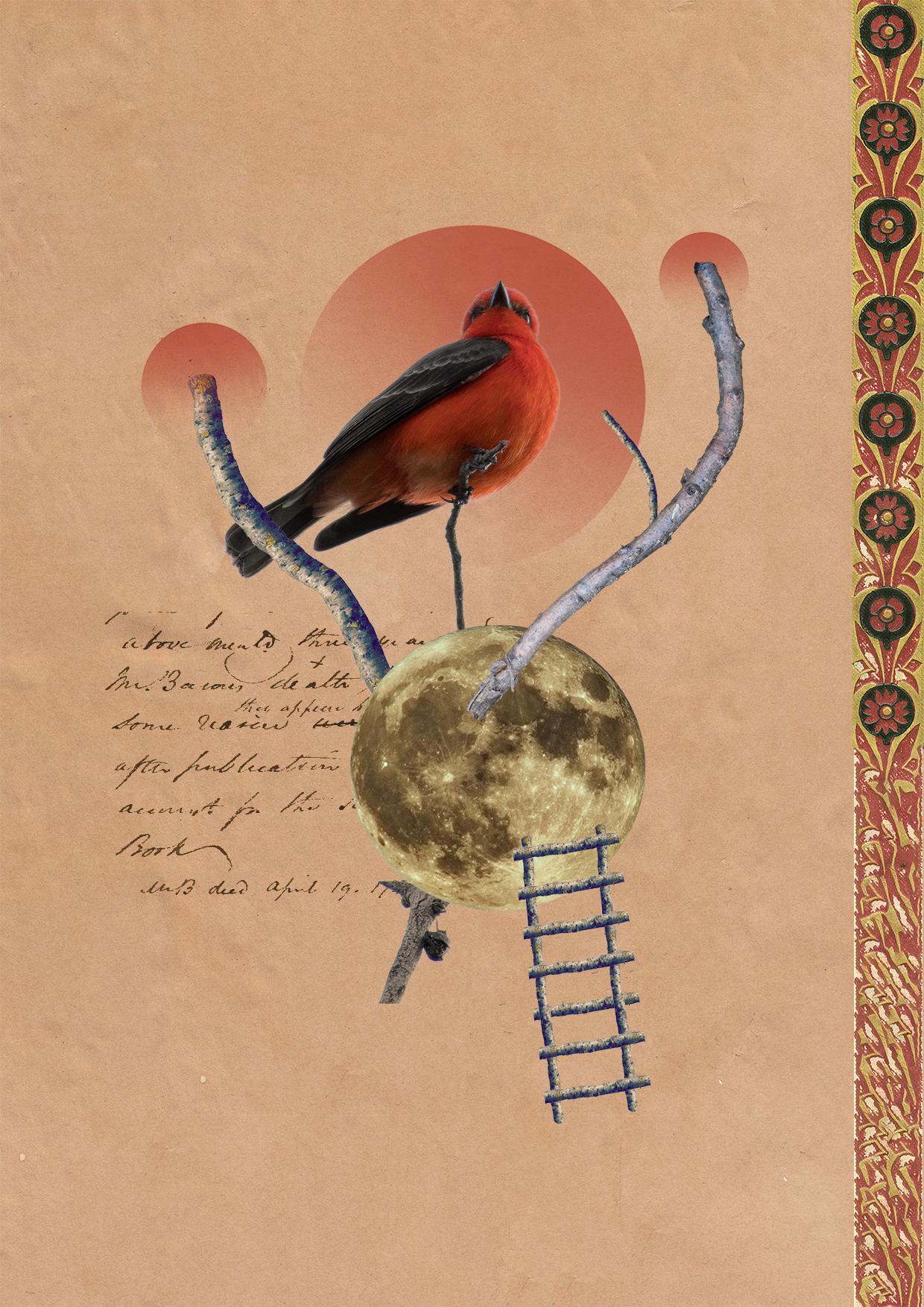 Digital Collage - image 1 - student project