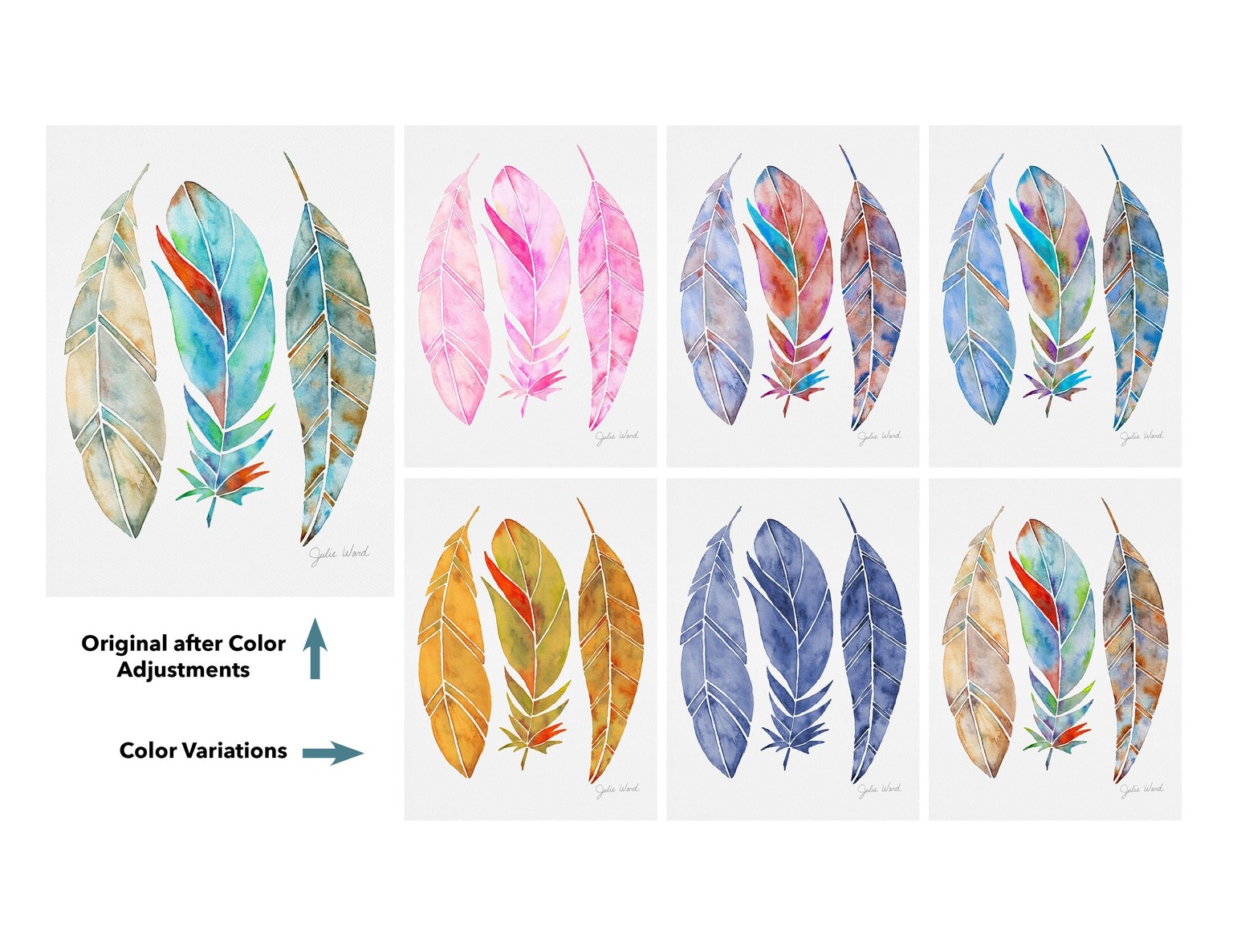 Feathers - Scanning & Editing Artwork - image 2 - student project