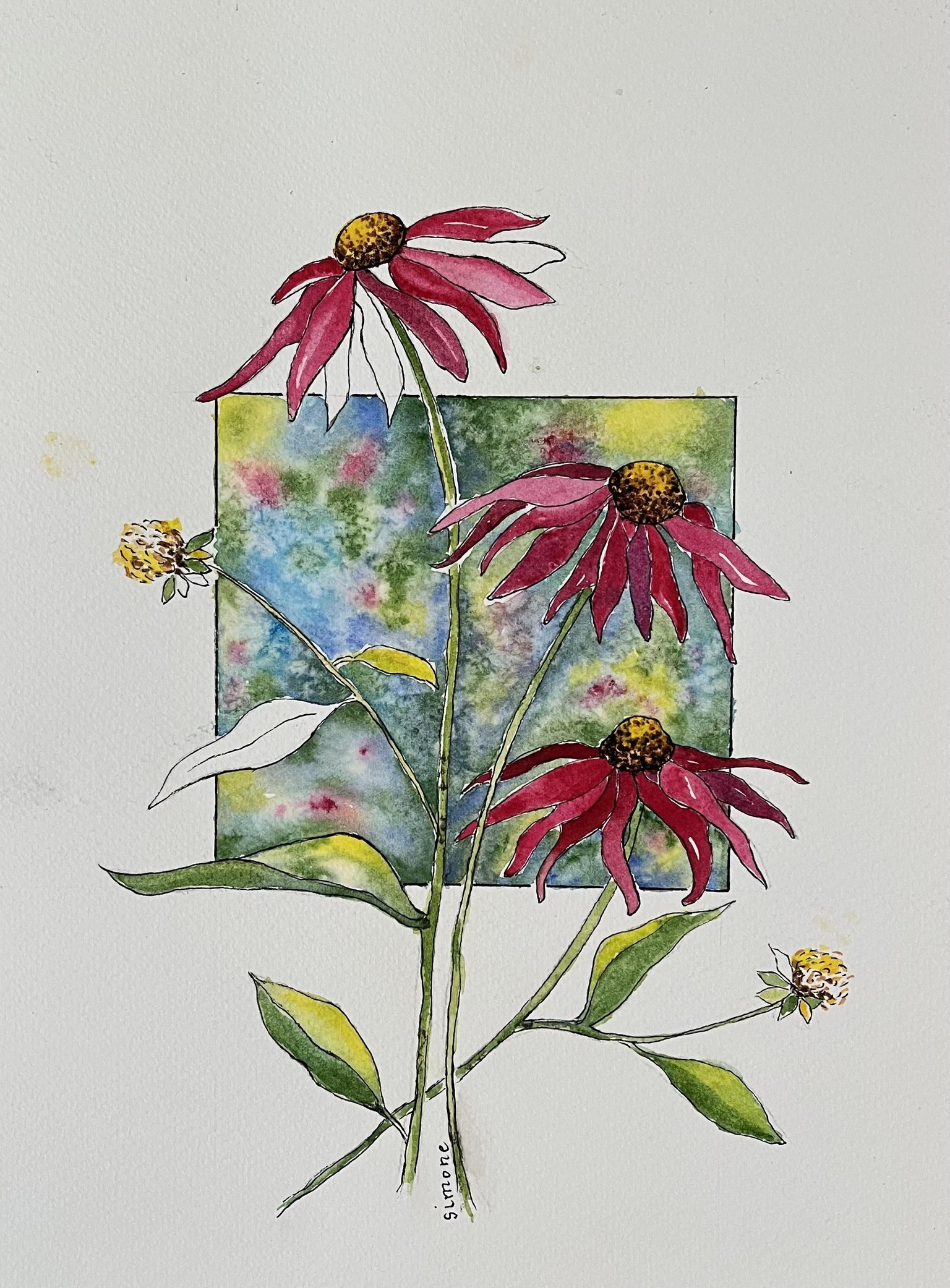 Echinacea Fun - image 1 - student project