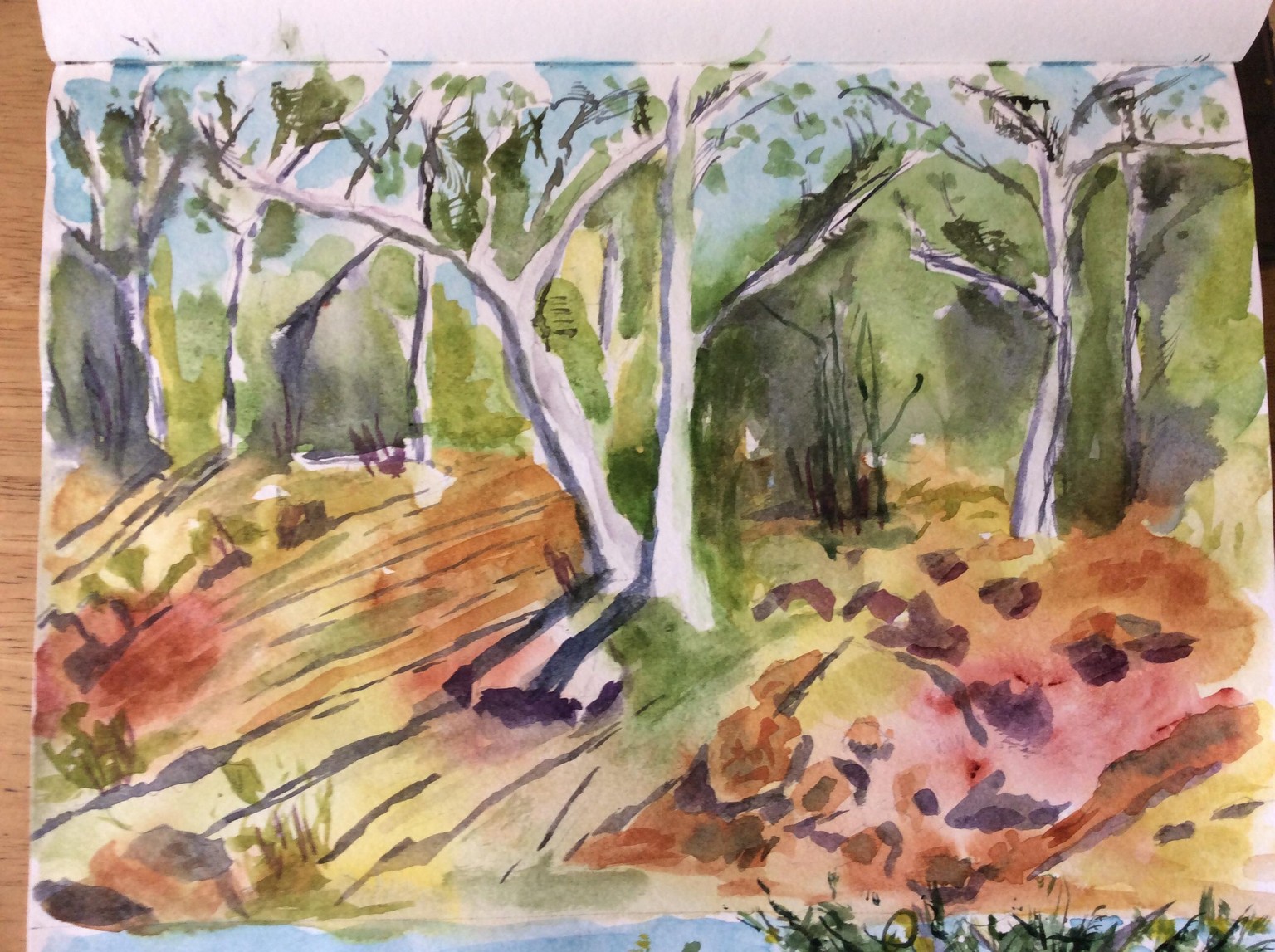 Australian Landscapes - image 1 - student project