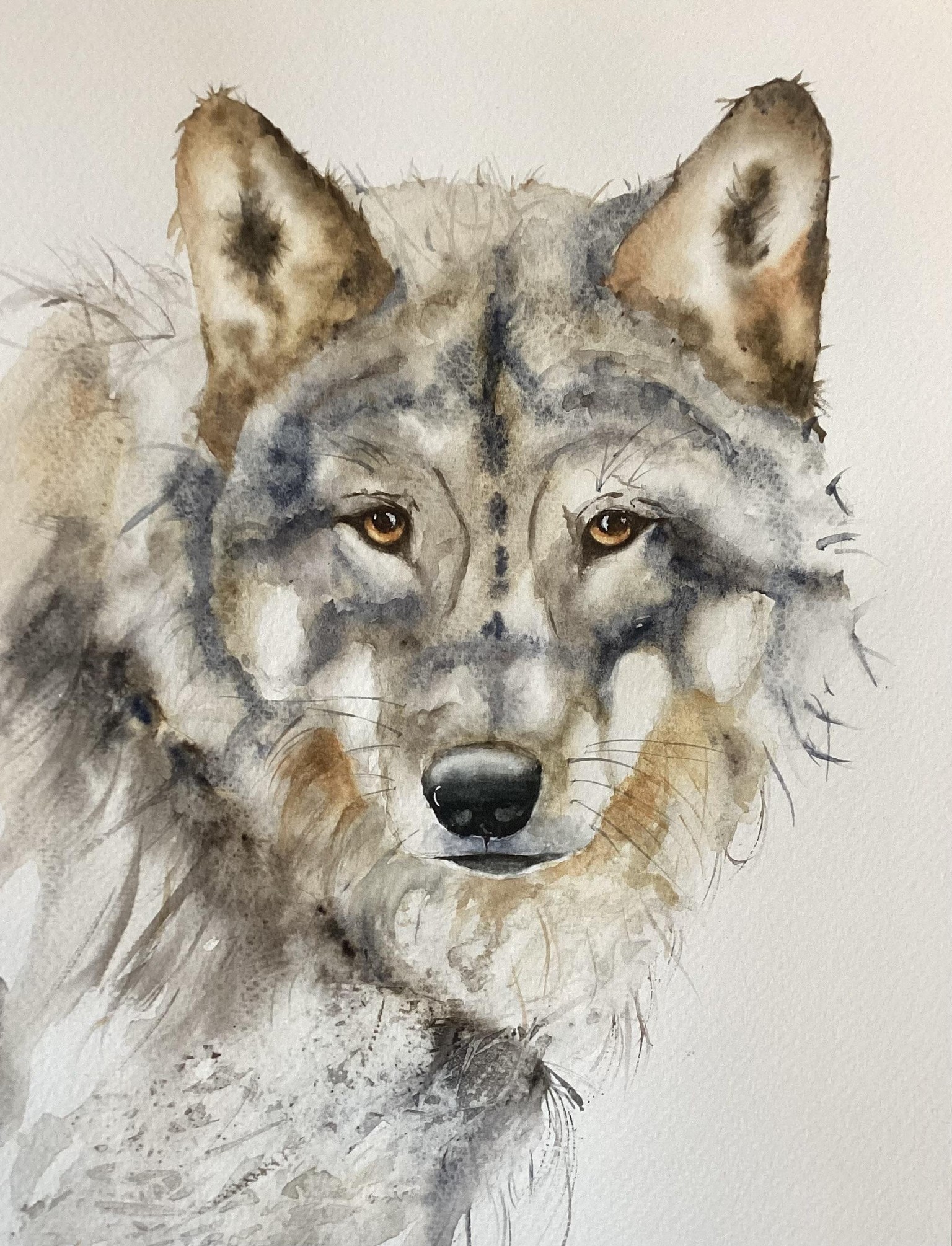 Elusive Wolf - image 3 - student project