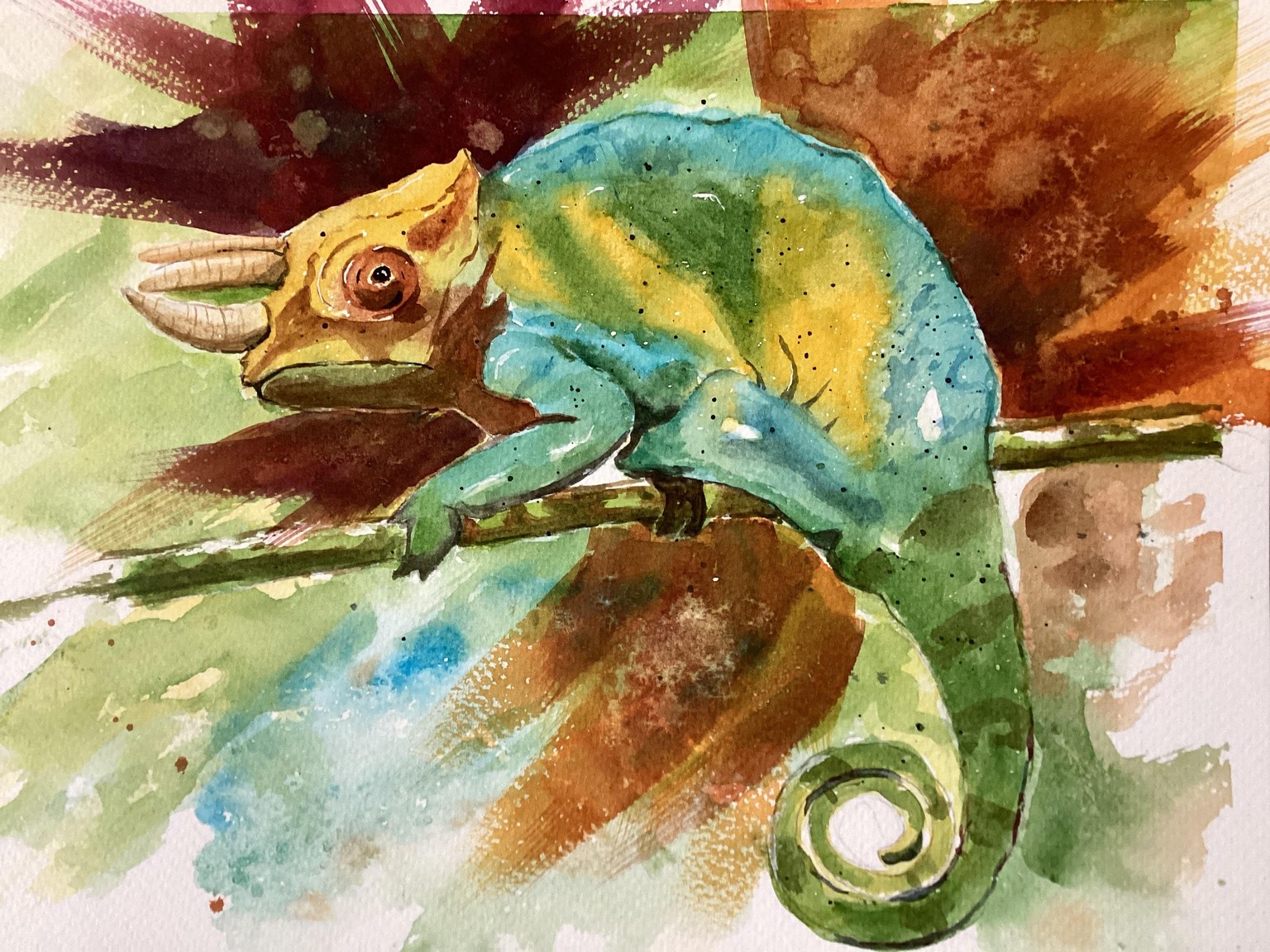 Comical Chameleon - image 1 - student project