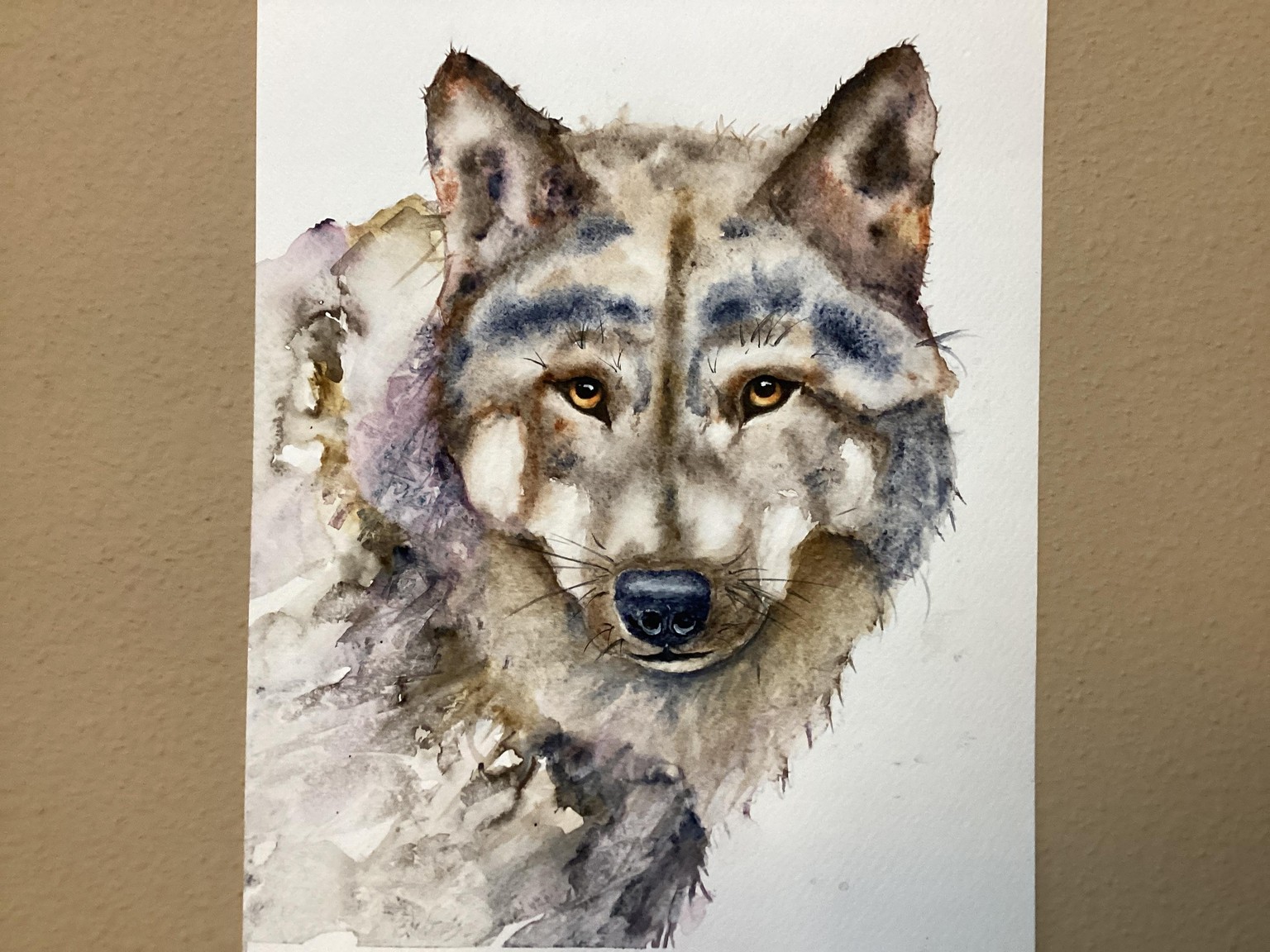 Elusive Wolf - image 2 - student project