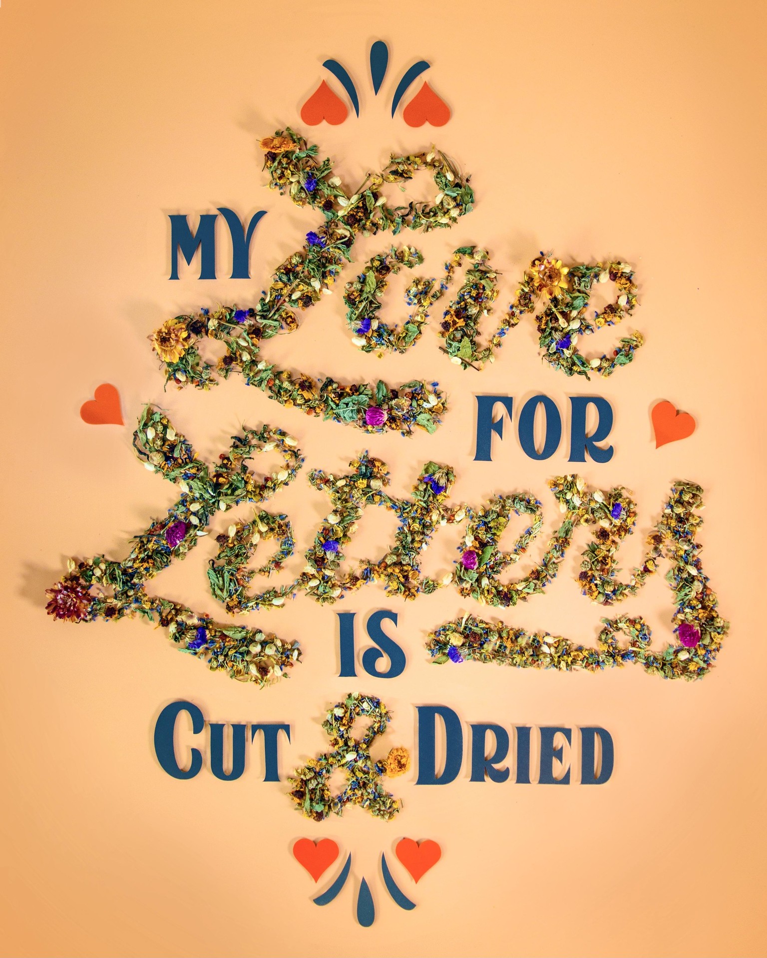 My Love for Letters in Cut & Dried - image 1 - student project