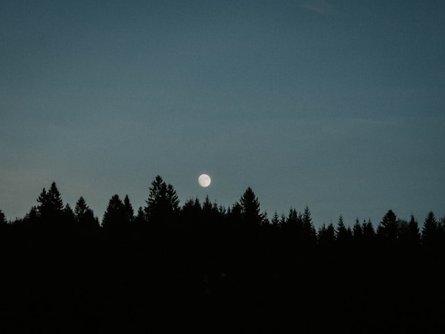 Night landscape - image 1 - student project