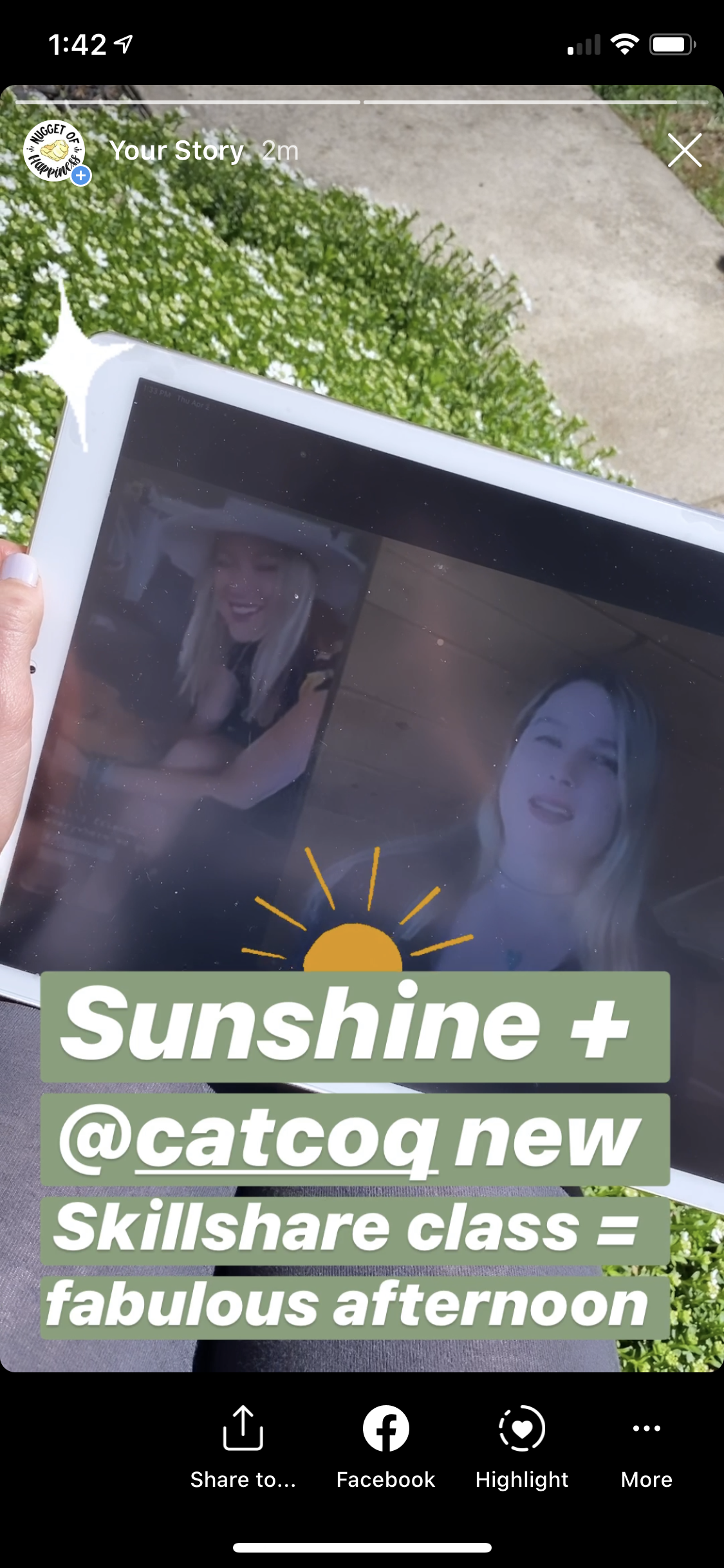 Insta Story With Sunshine and Cat Coq! - image 1 - student project