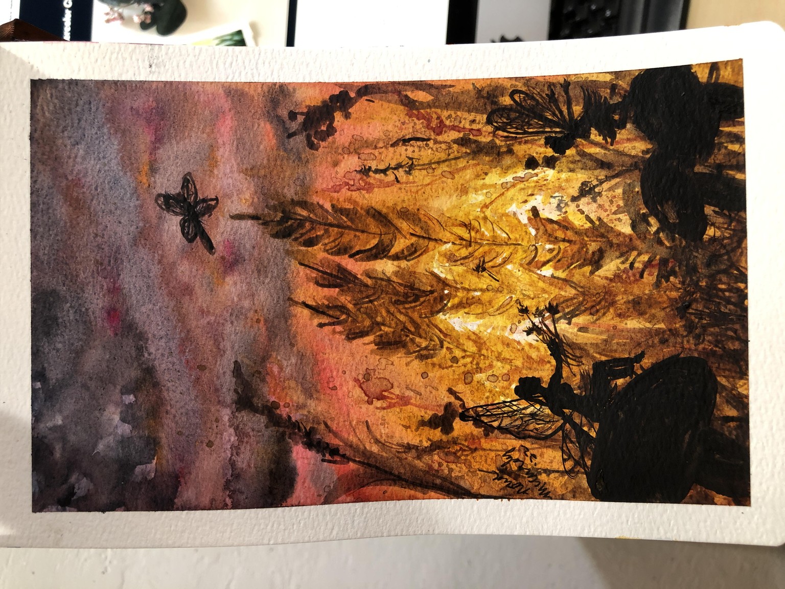 Love these sunsets - image 3 - student project
