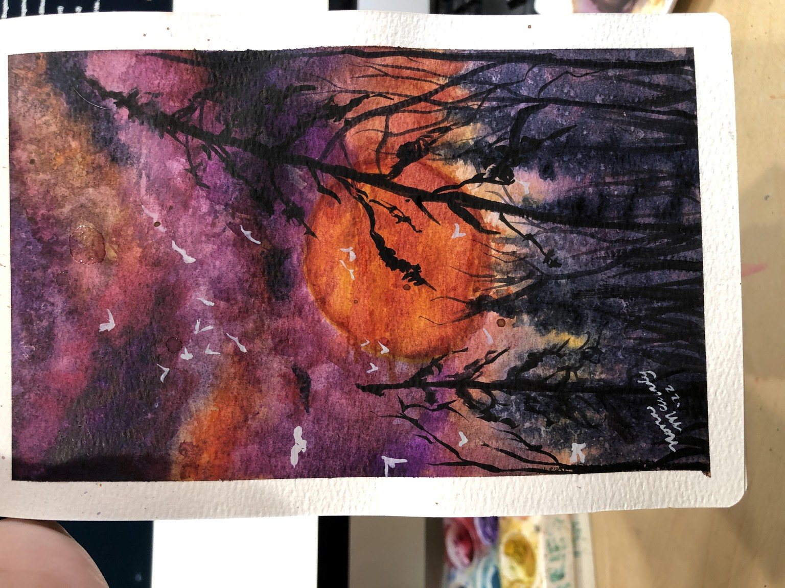 Love these sunsets - image 4 - student project