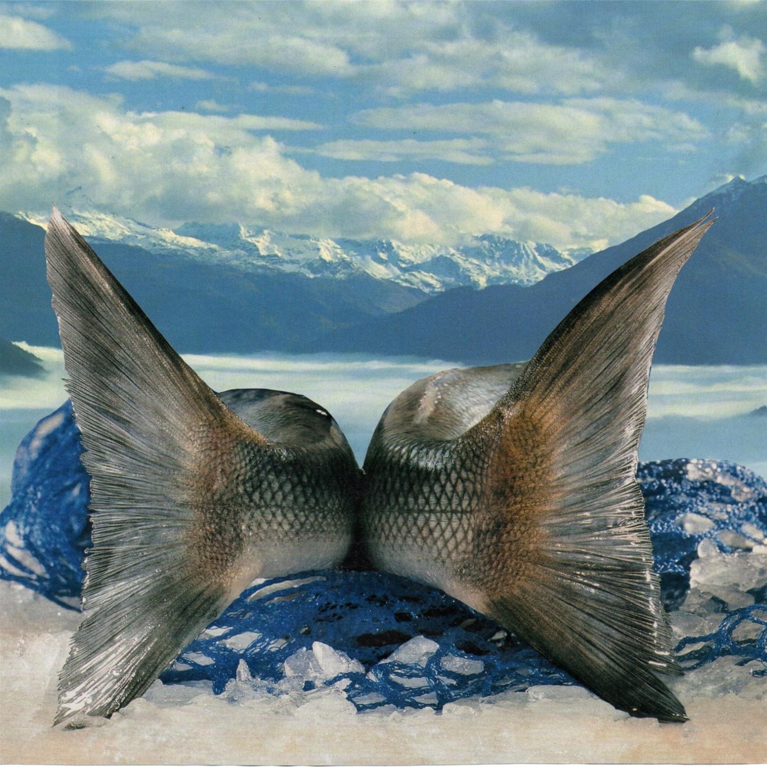 Collage Universe - image 9 - student project