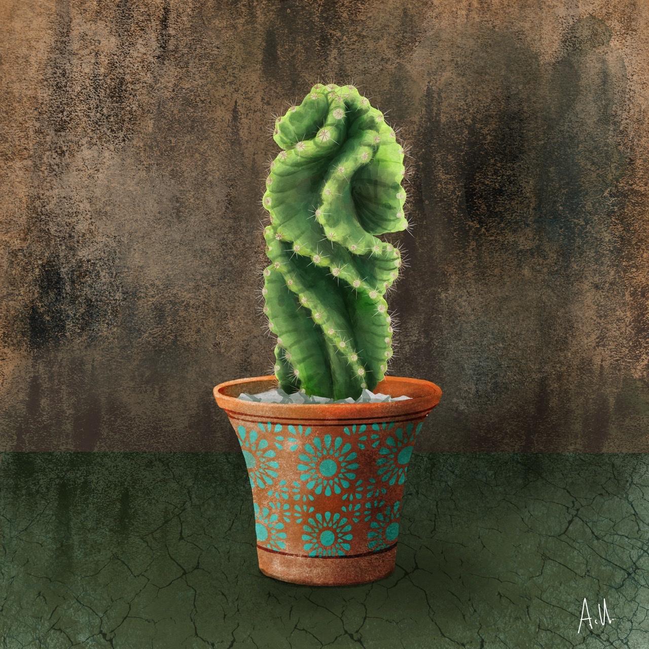 Twisted Cactus ...and a Elf Owl - image 1 - student project