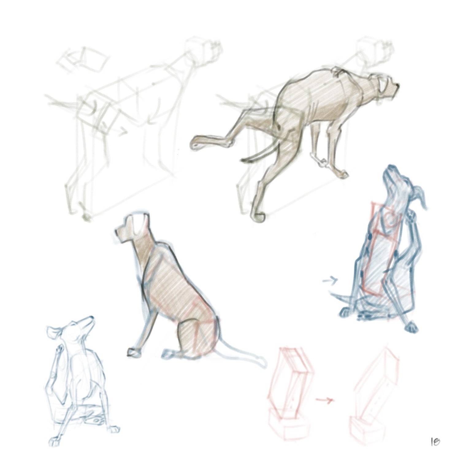 DOGS! - image 7 - student project