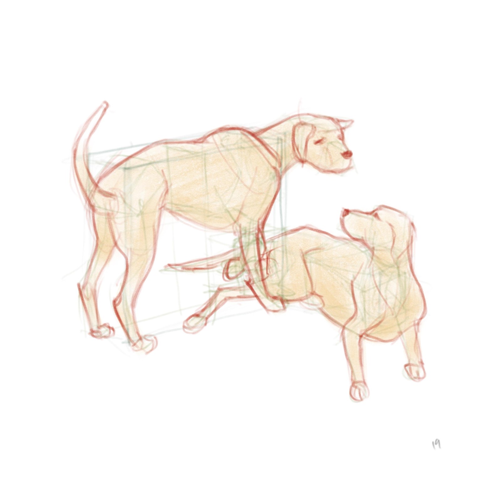 DOGS! - image 8 - student project