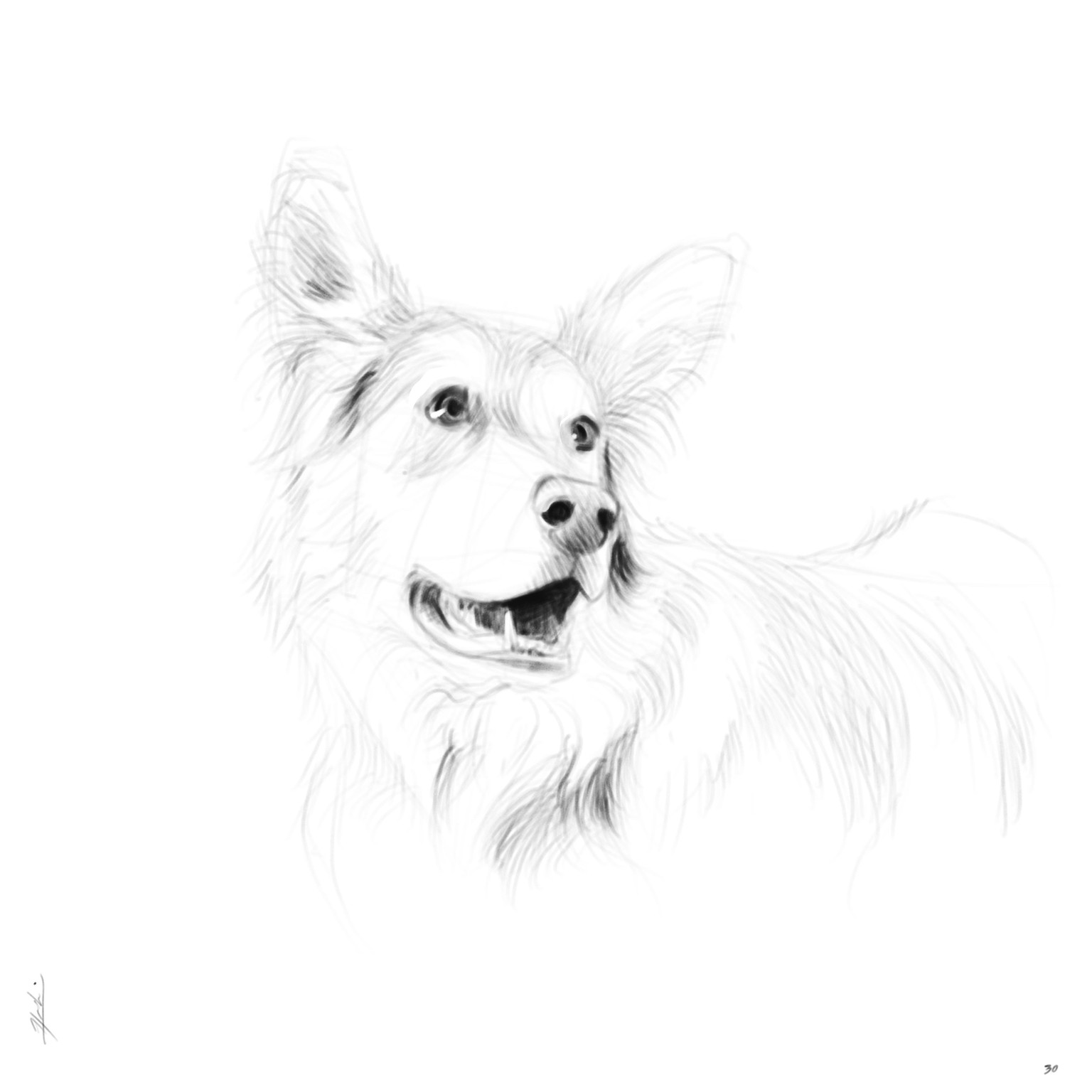 DOGS! - image 1 - student project