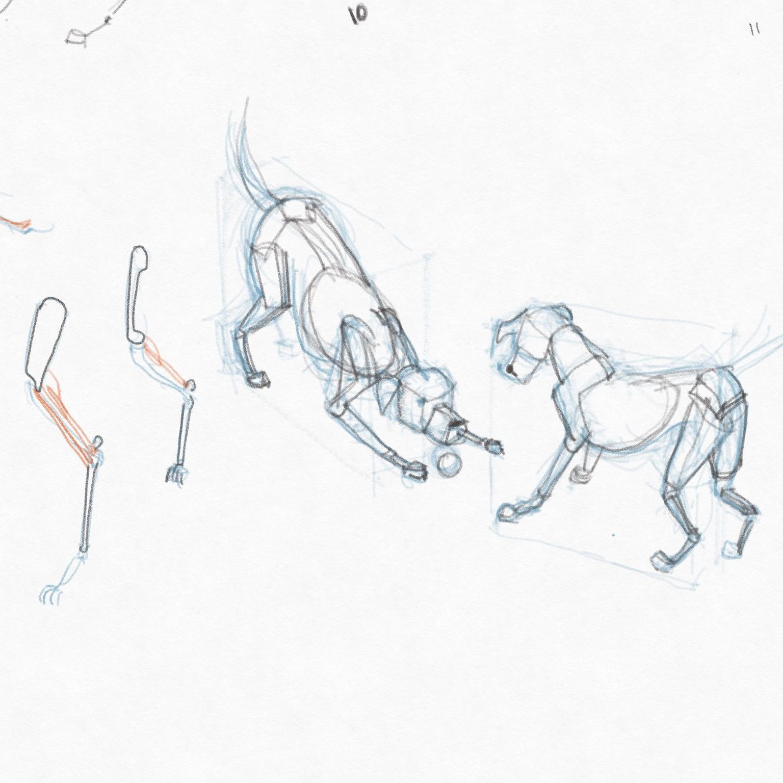 DOGS! - image 10 - student project