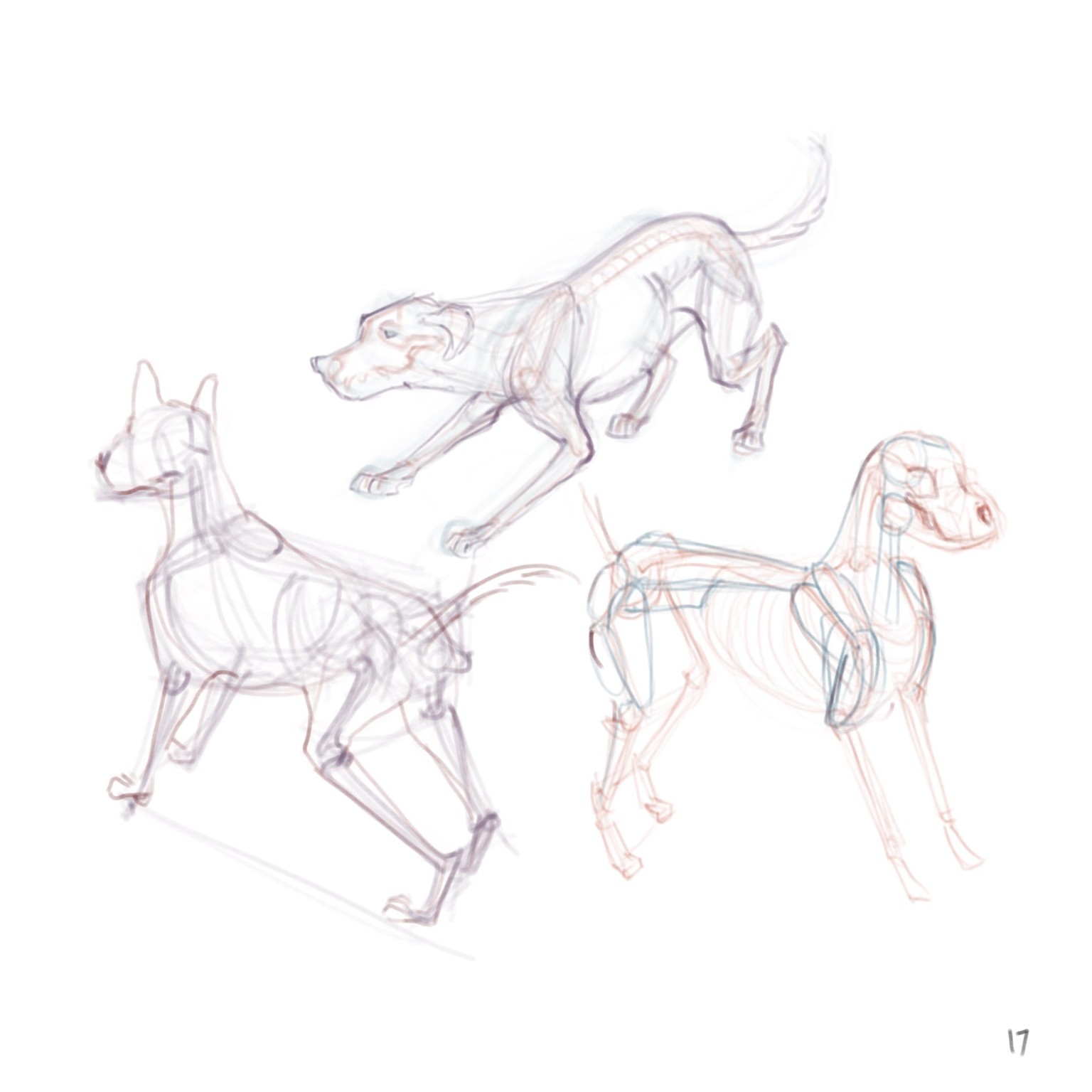 DOGS! - image 9 - student project